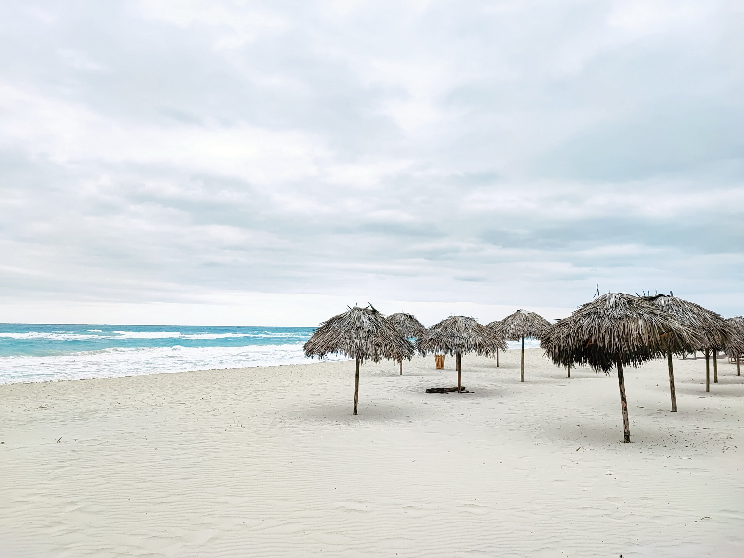 Намобилкус кубинский. Репортажный фотограф Алексей Пирязев