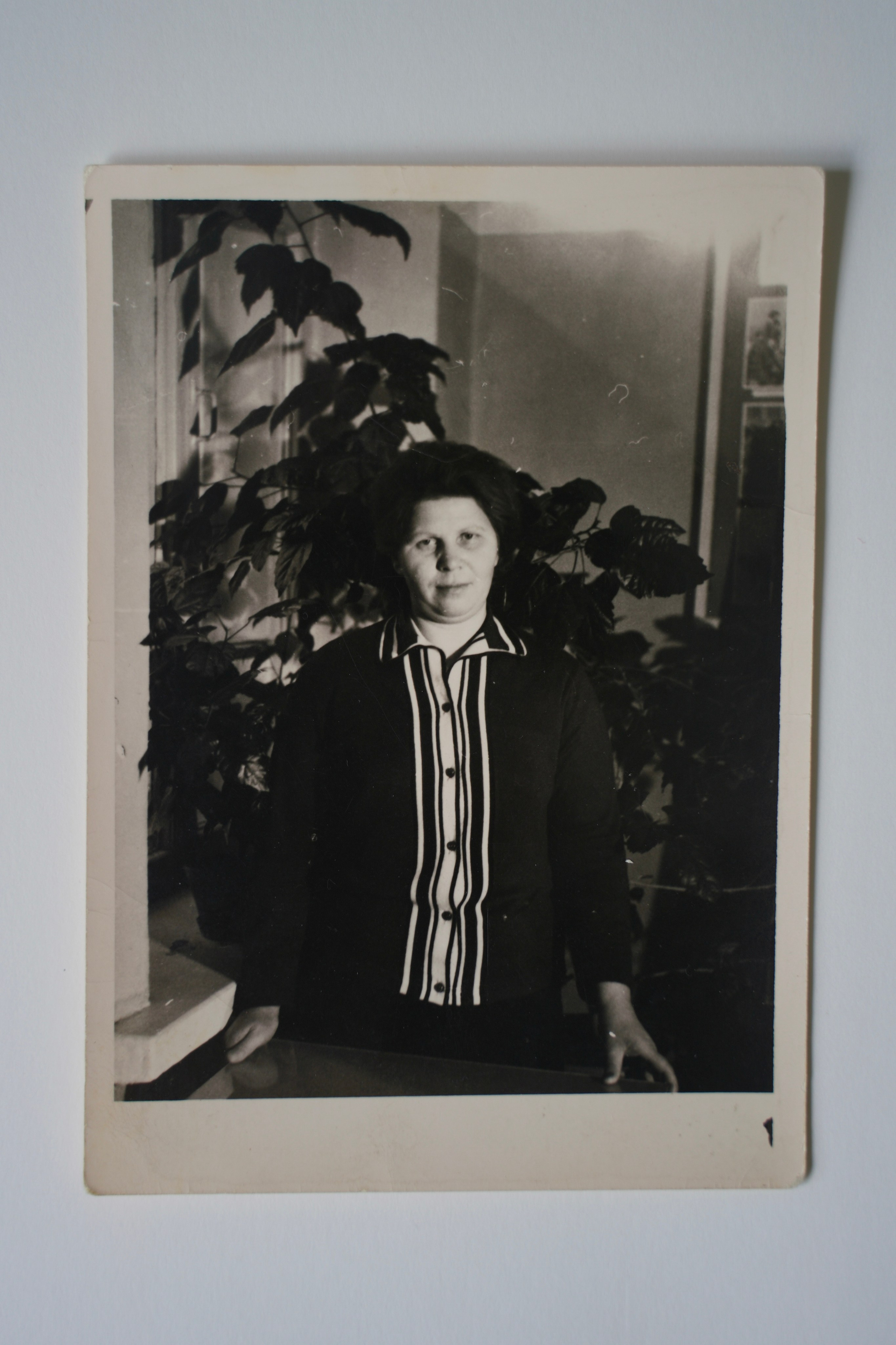 Архивные фото квартира 59. Портретный и репортажный фотограф Наталья Горобец