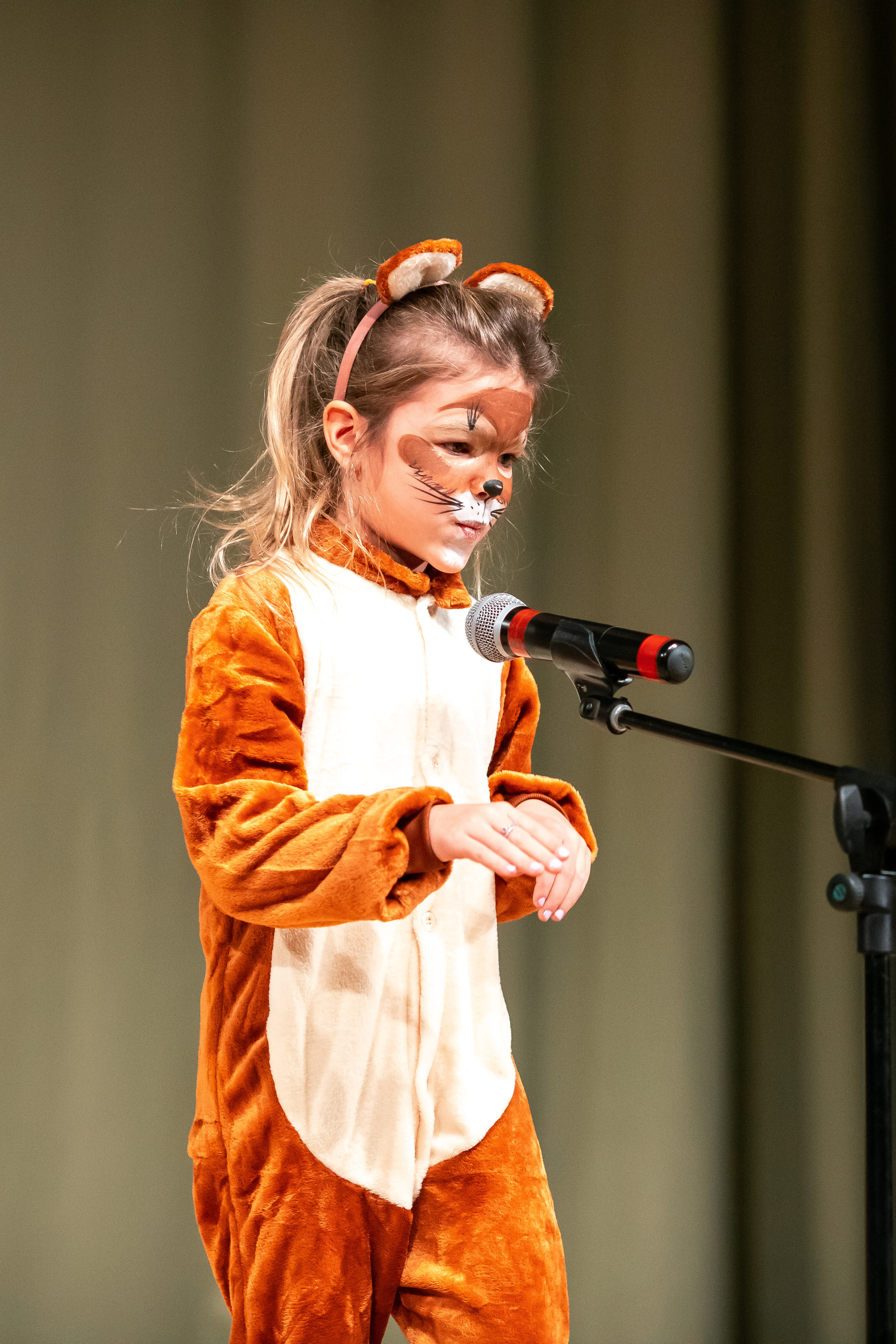 Спектакль «Бременские музыканты». Фотограф Москва