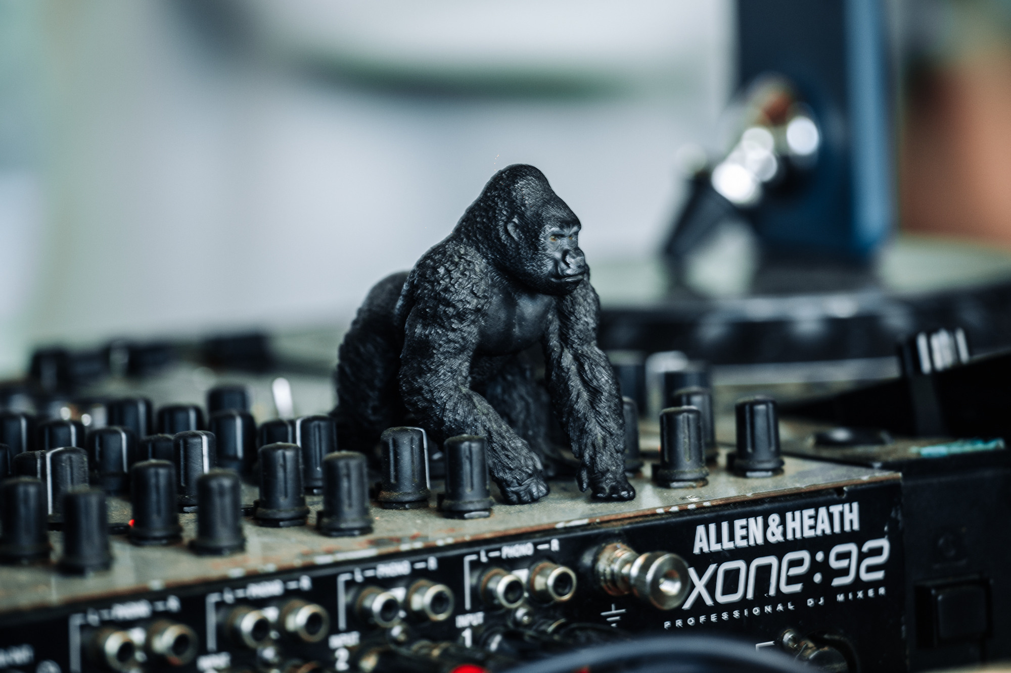 Фестиваль «Anatman». Фотограф Москва