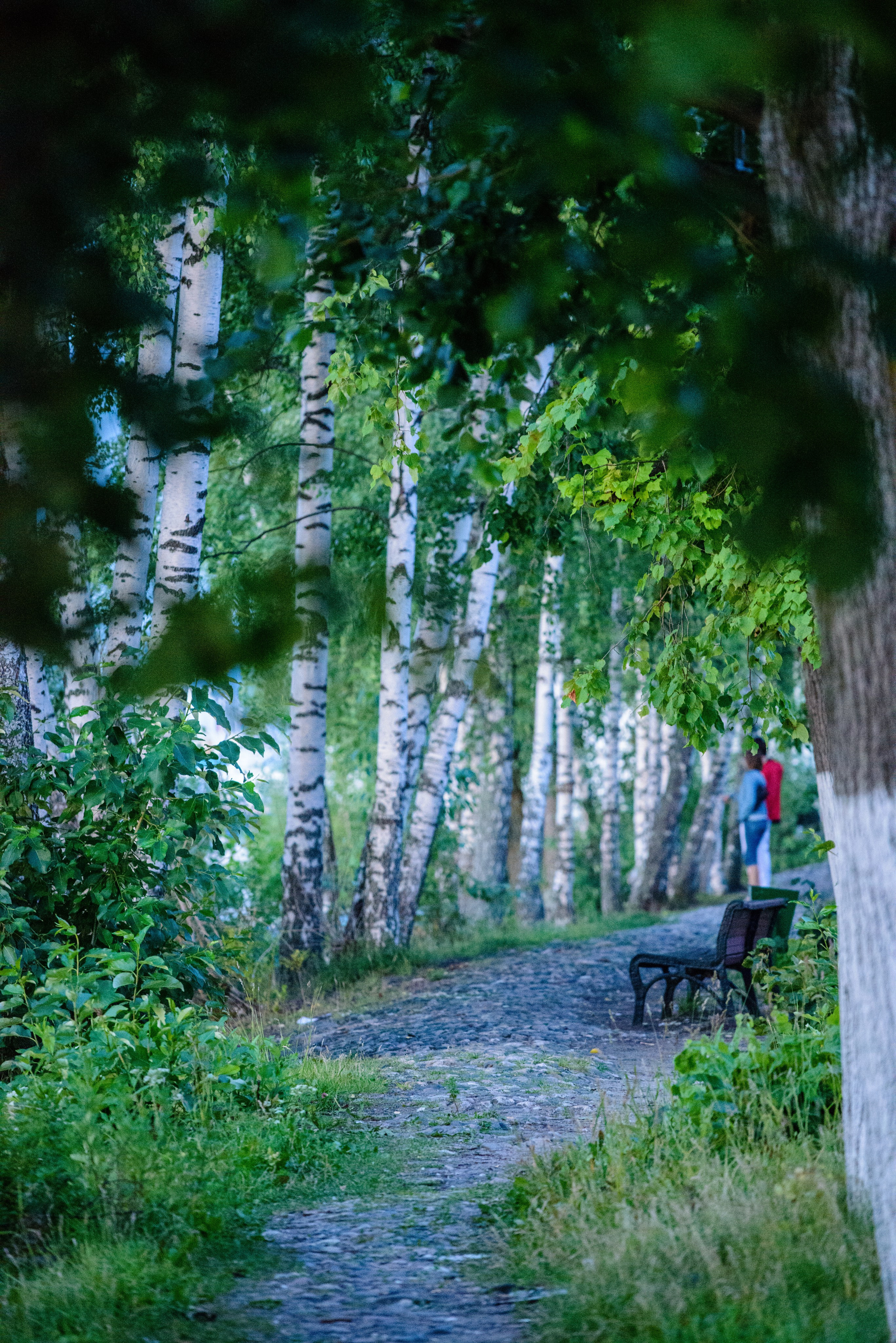 Плёс — жемчужина Золотого кольца России. Пейзажный фотограф Сергей Пестерев. Фото природы