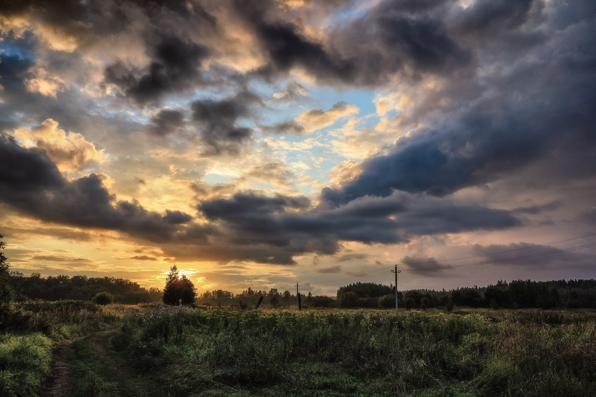Летний вечер в поле после дождя в средней полосе России.