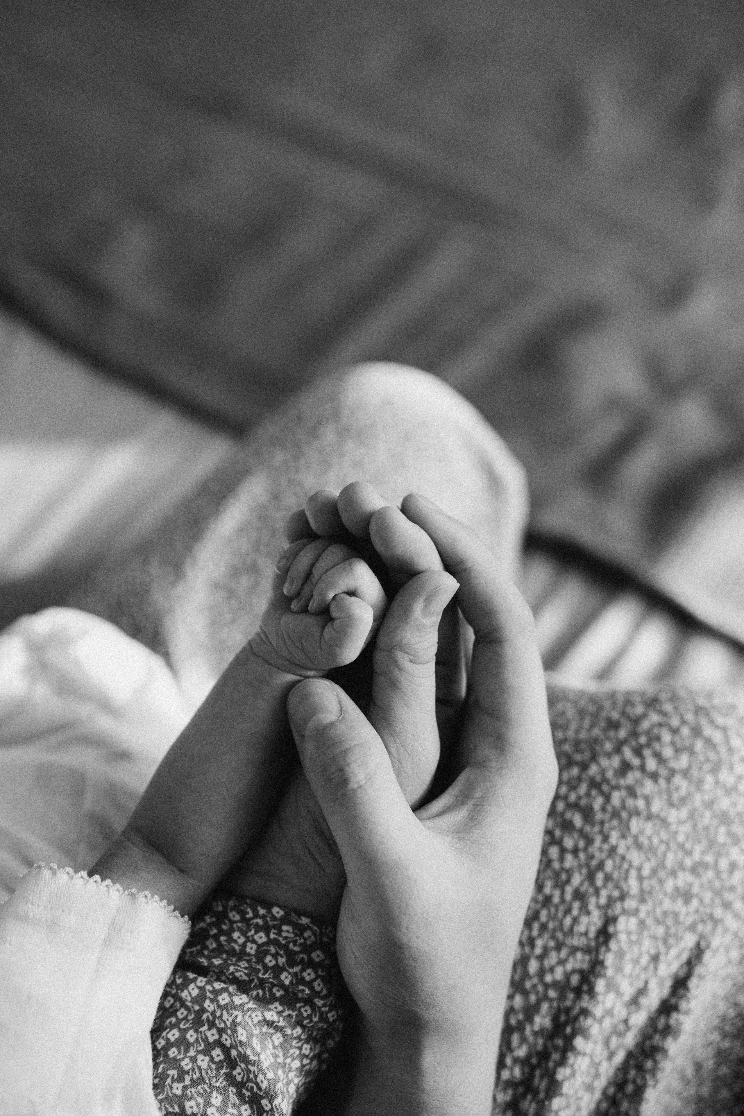 Максат Жибек Корлан (newborn). Надежда Виховская — семейный фотограф в Астане