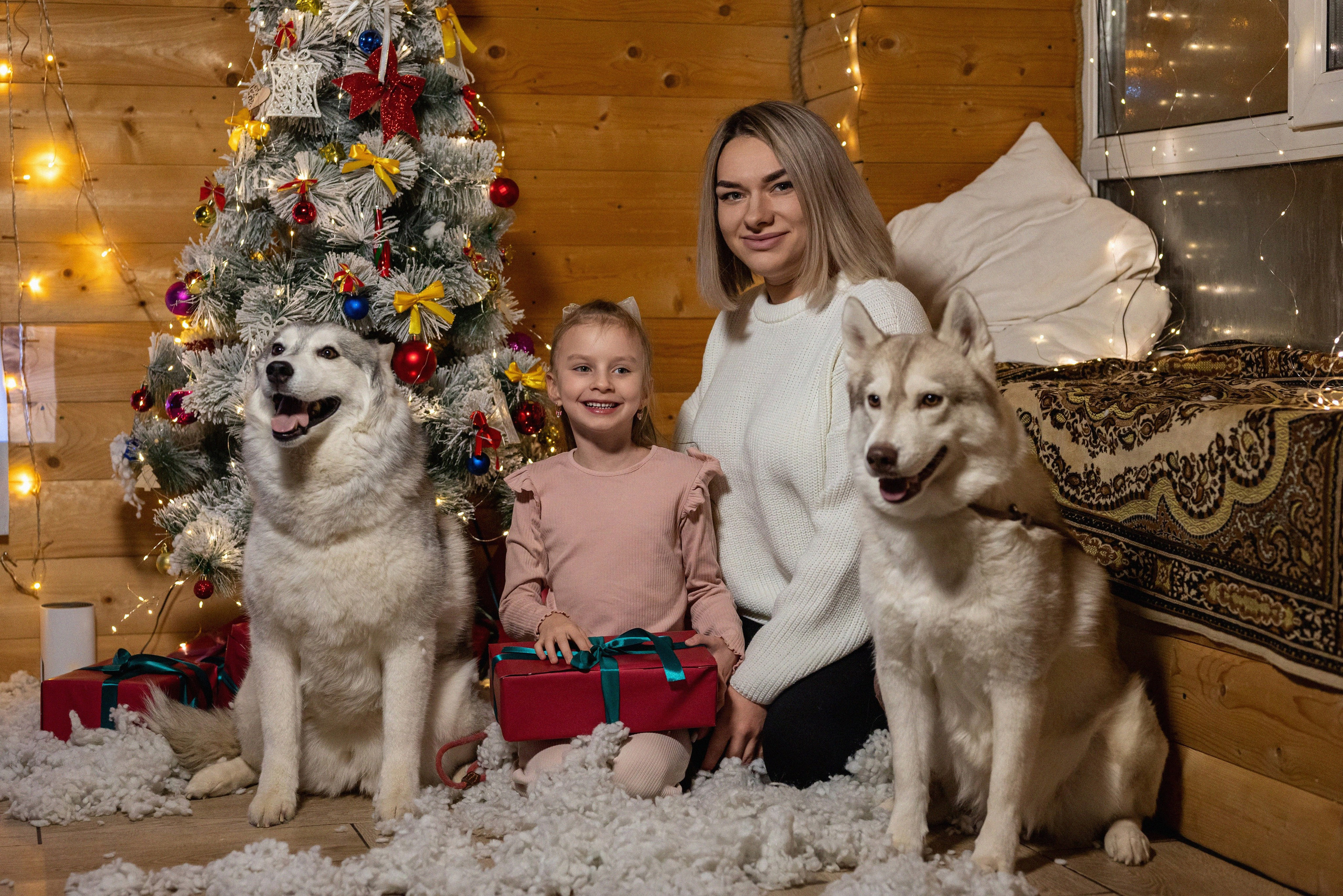 Фотопроект с хаски 2024 г. Фотограф в городе Салават