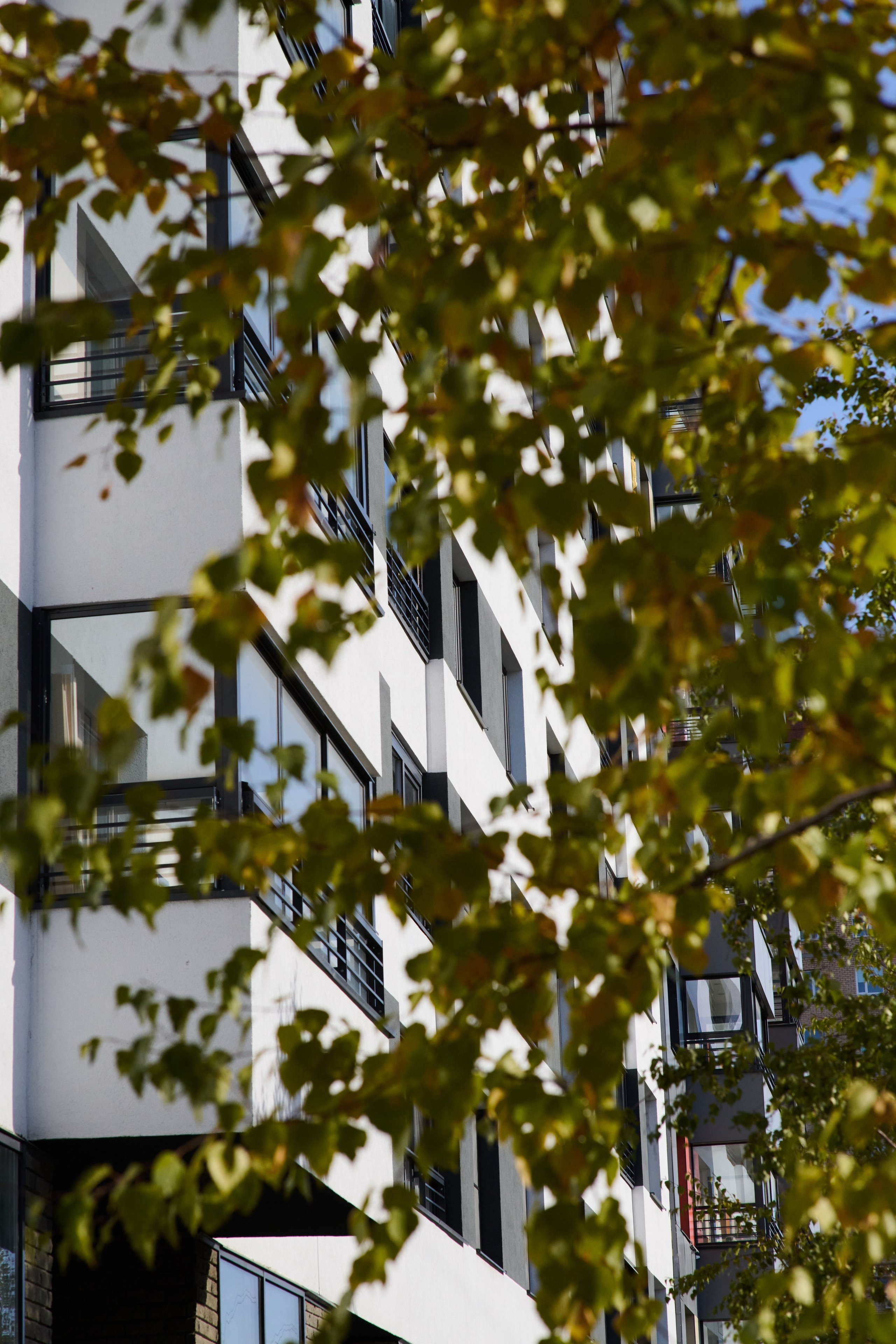 Серия фото про недвижимость. Архитектурная съемка. Репортажный и семейный фотограф — Шелихов Сергей