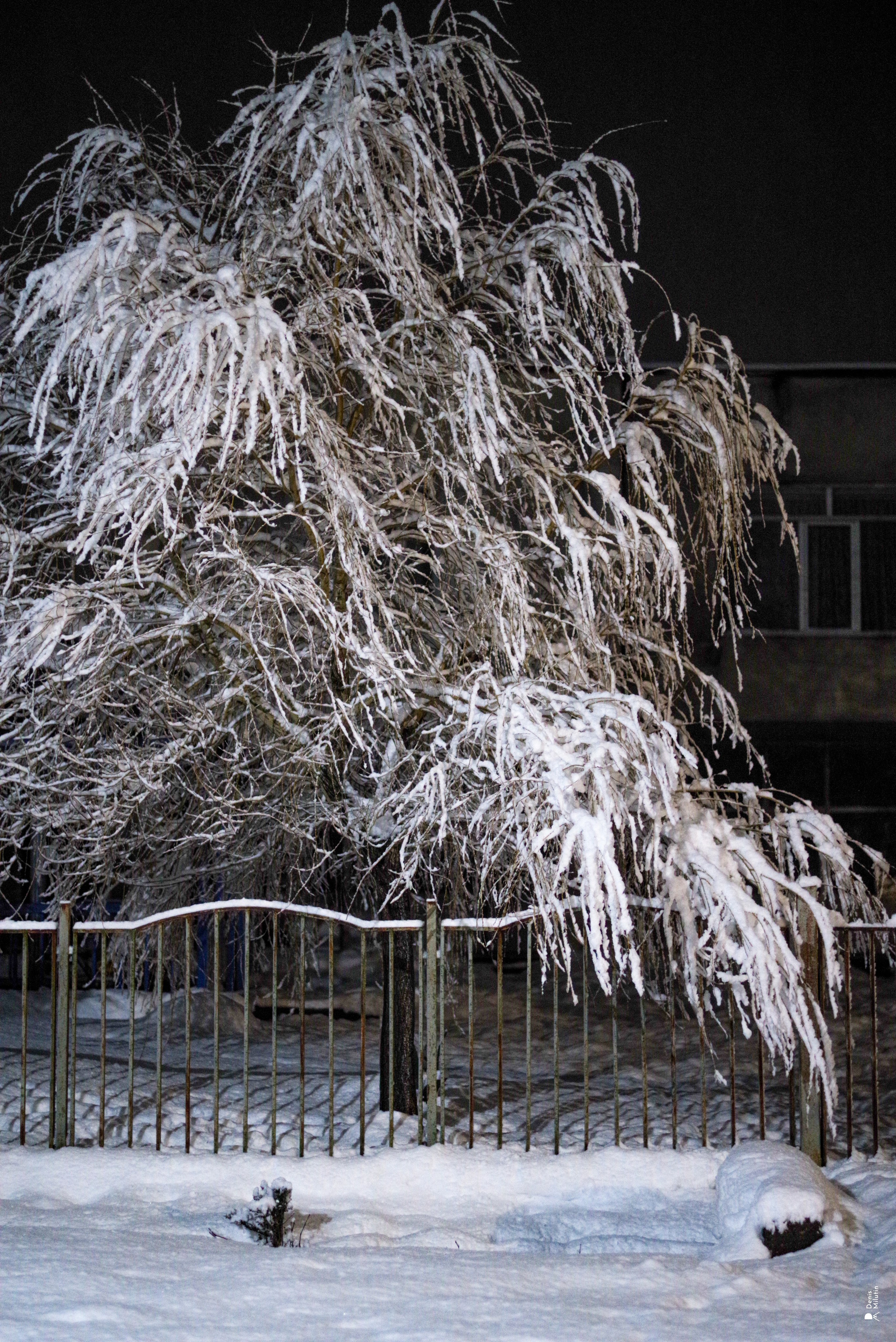 Ночь в Менджи. Портретный фотограф Денис Милютин