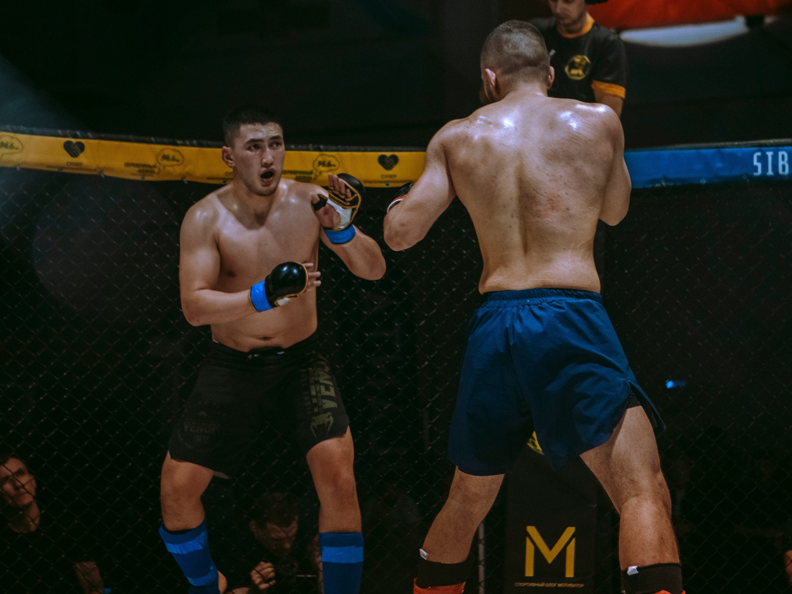 SFL 17 | Siberian Fighting League. Портретный фотограф в Москве Дарья Цезария