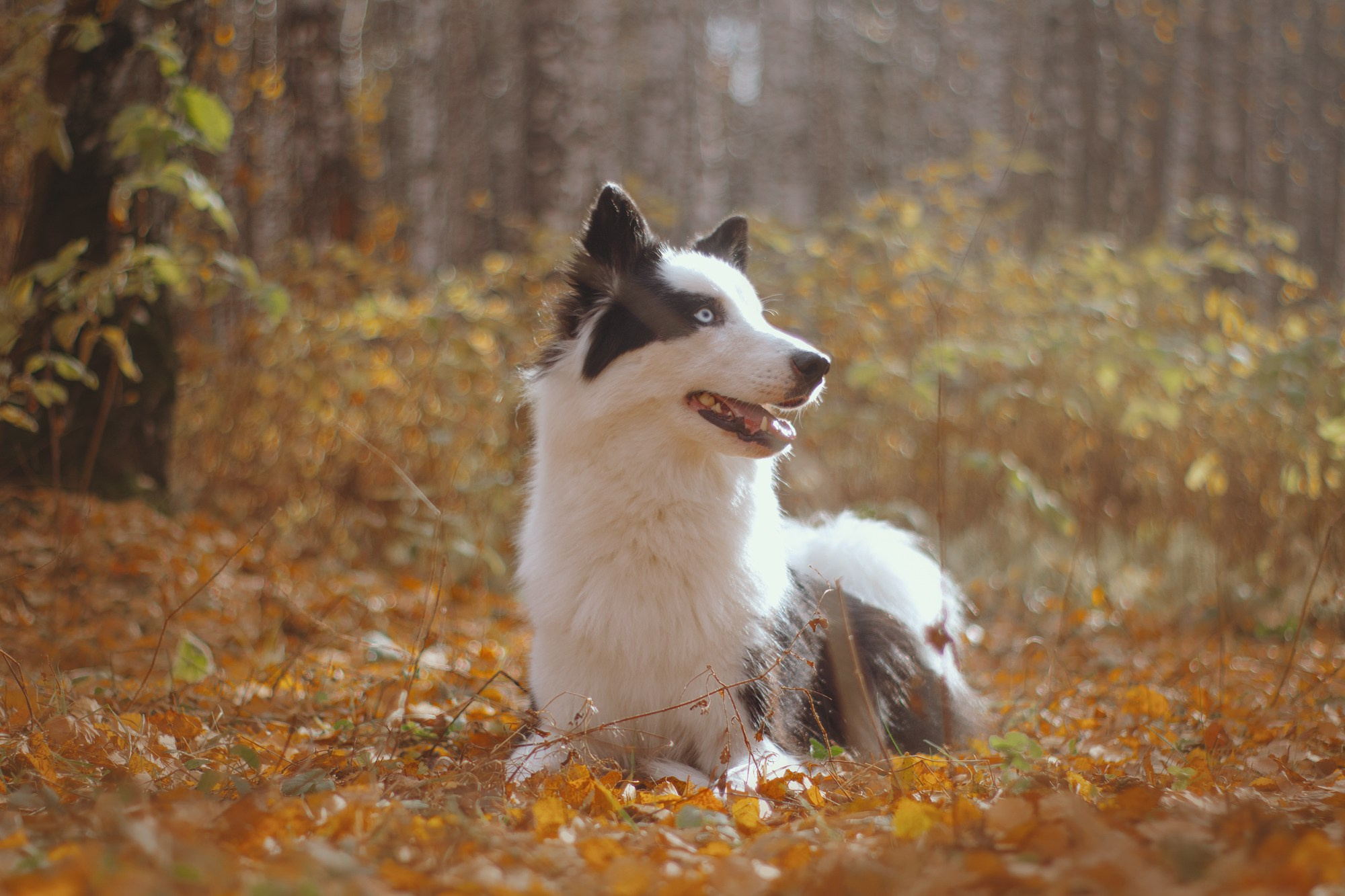 Ликёр. Фотограф в Тюмени Лизавета Сапицкая