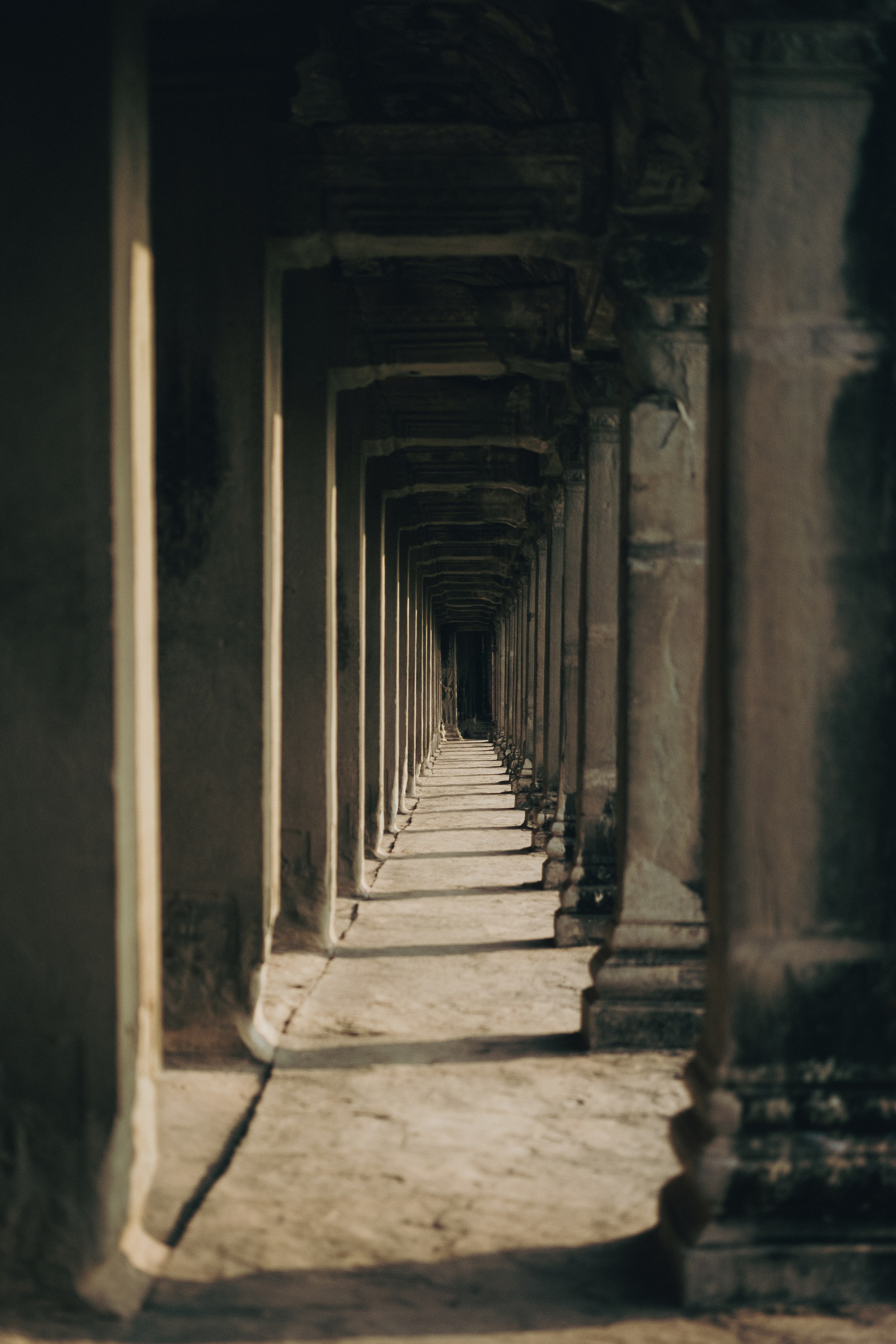 Cambodia. Dmitry Ippolitov