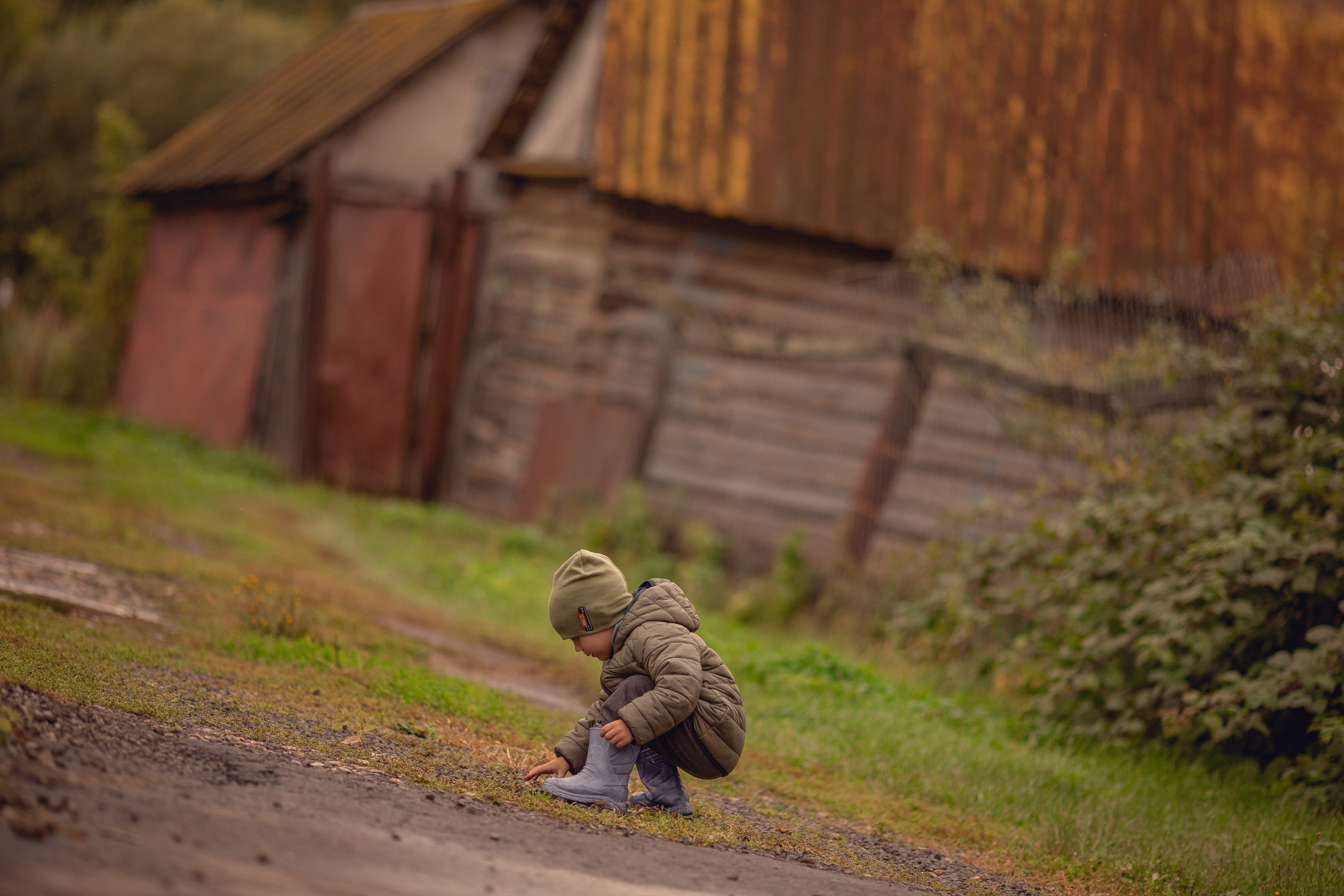 Осень в дерене. Ольга Смирнова юрист, фотограф