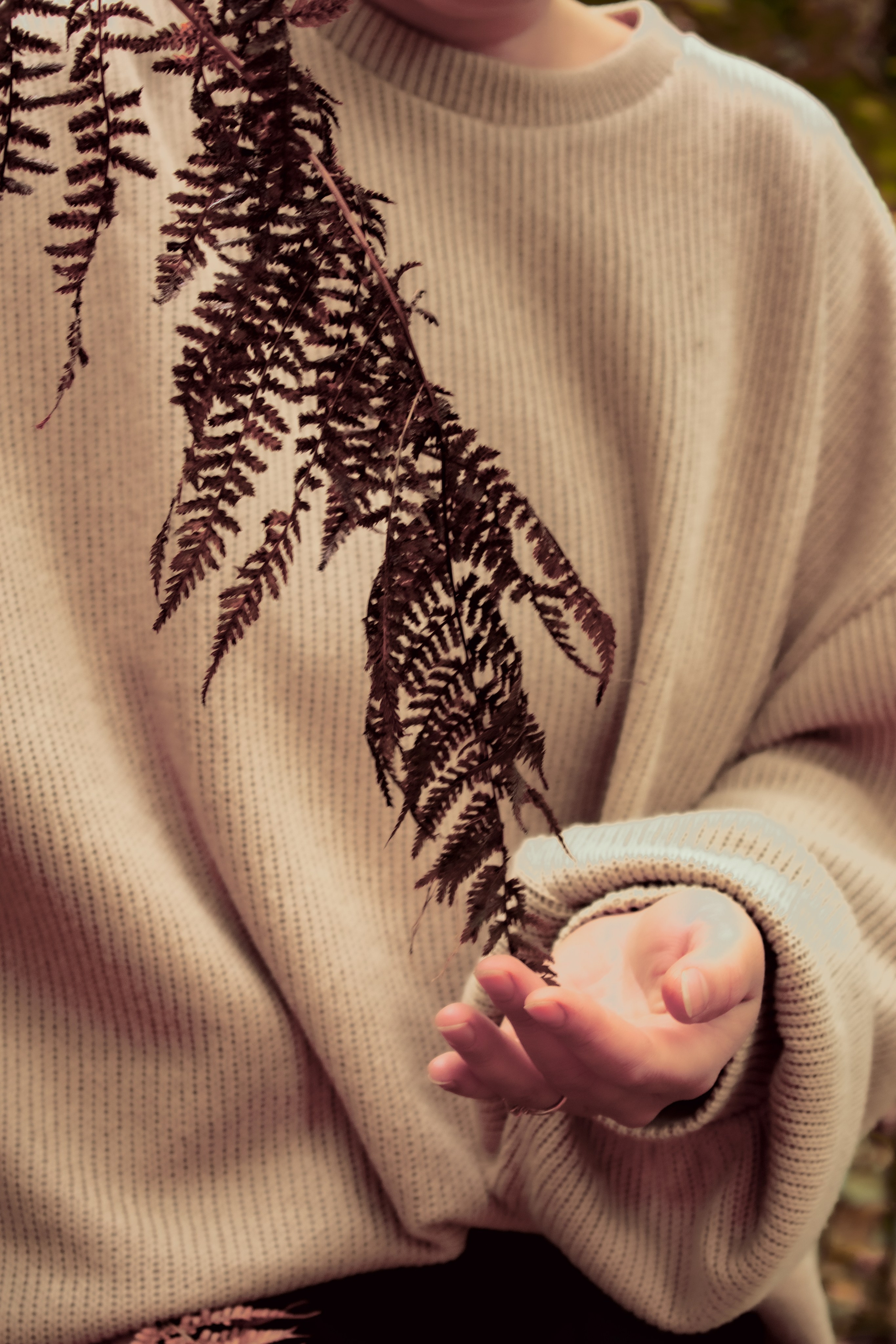 Руки девушки держащей осенний папоротник 