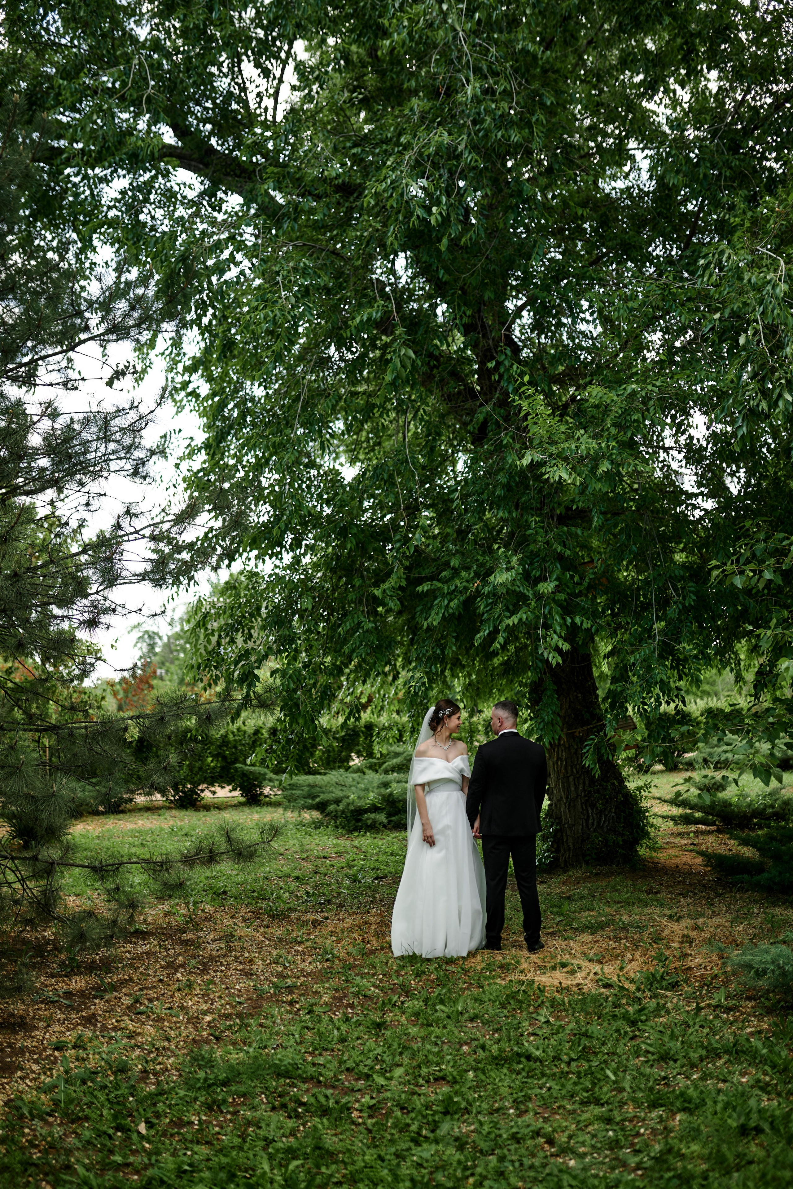 Свадьба Даши и Кости. Свадебный фотограф г. Новочеркасск г. Ростов-на-Дону