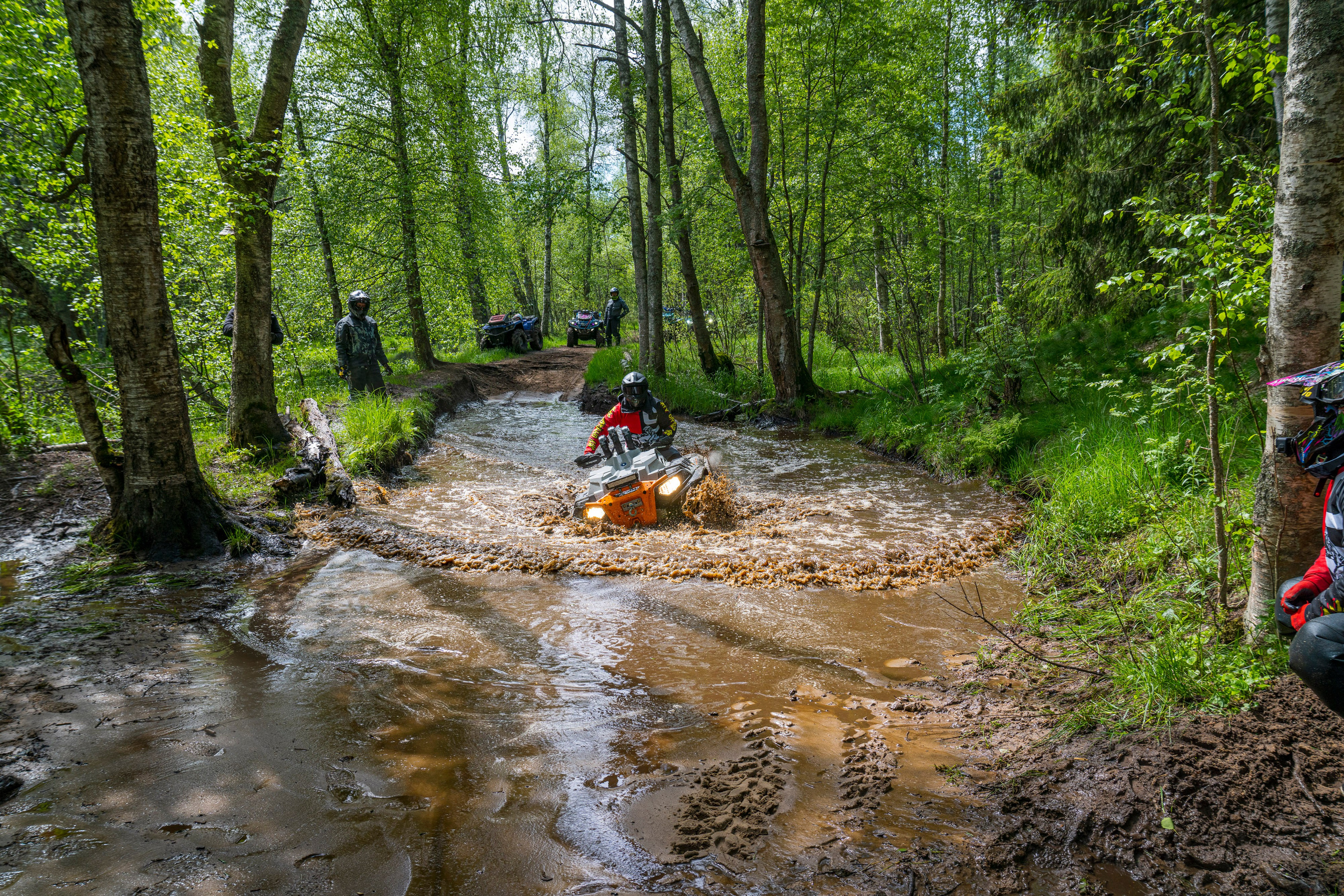 RazVolution. Графический дизайнер Илья Левченко