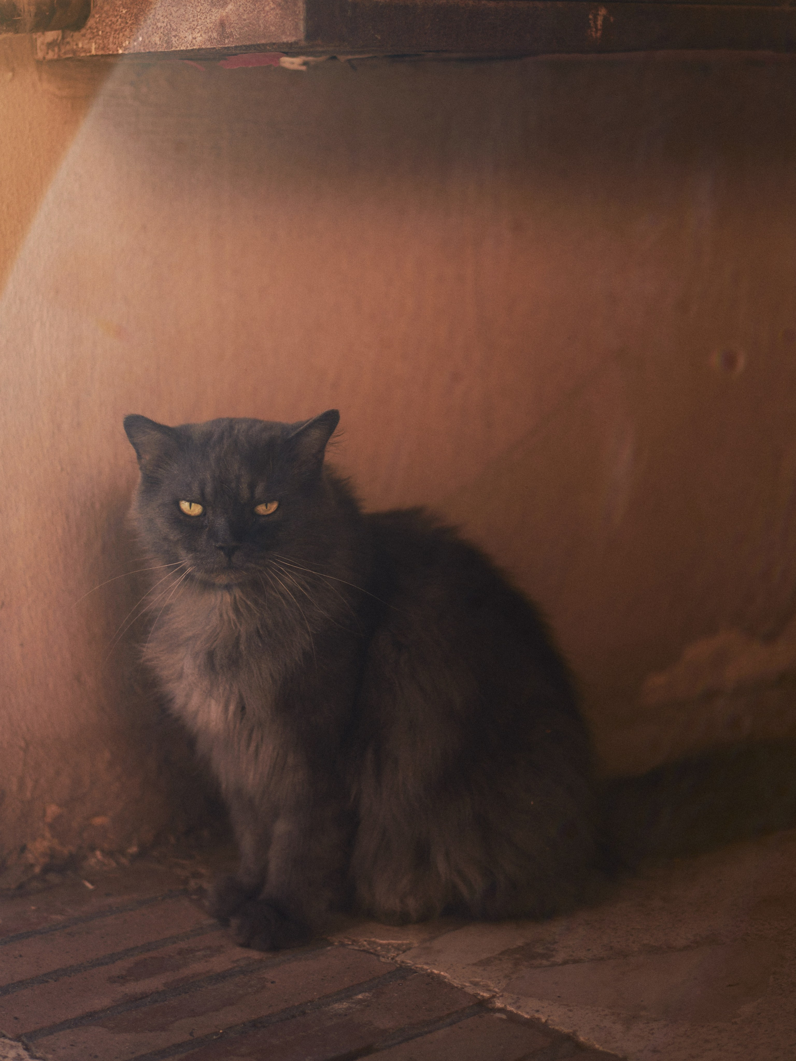 Другое 3. Jorgis Talè — photographer, kind person, teacher of arts and other mag