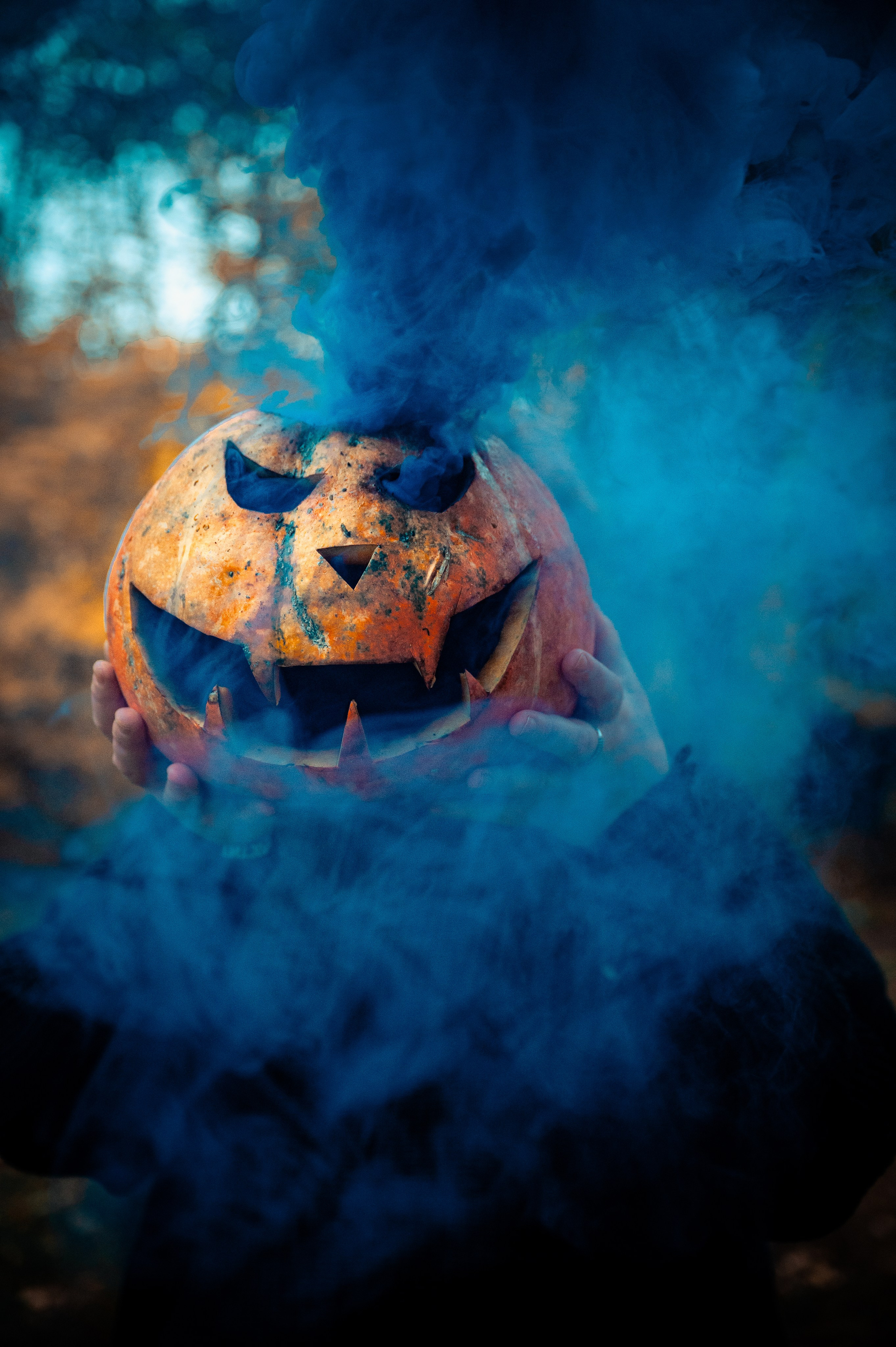 История о Фыре и Фыре. Семейный и детский фотограф в Королеве, Москве и Московской области Строева Анастасия