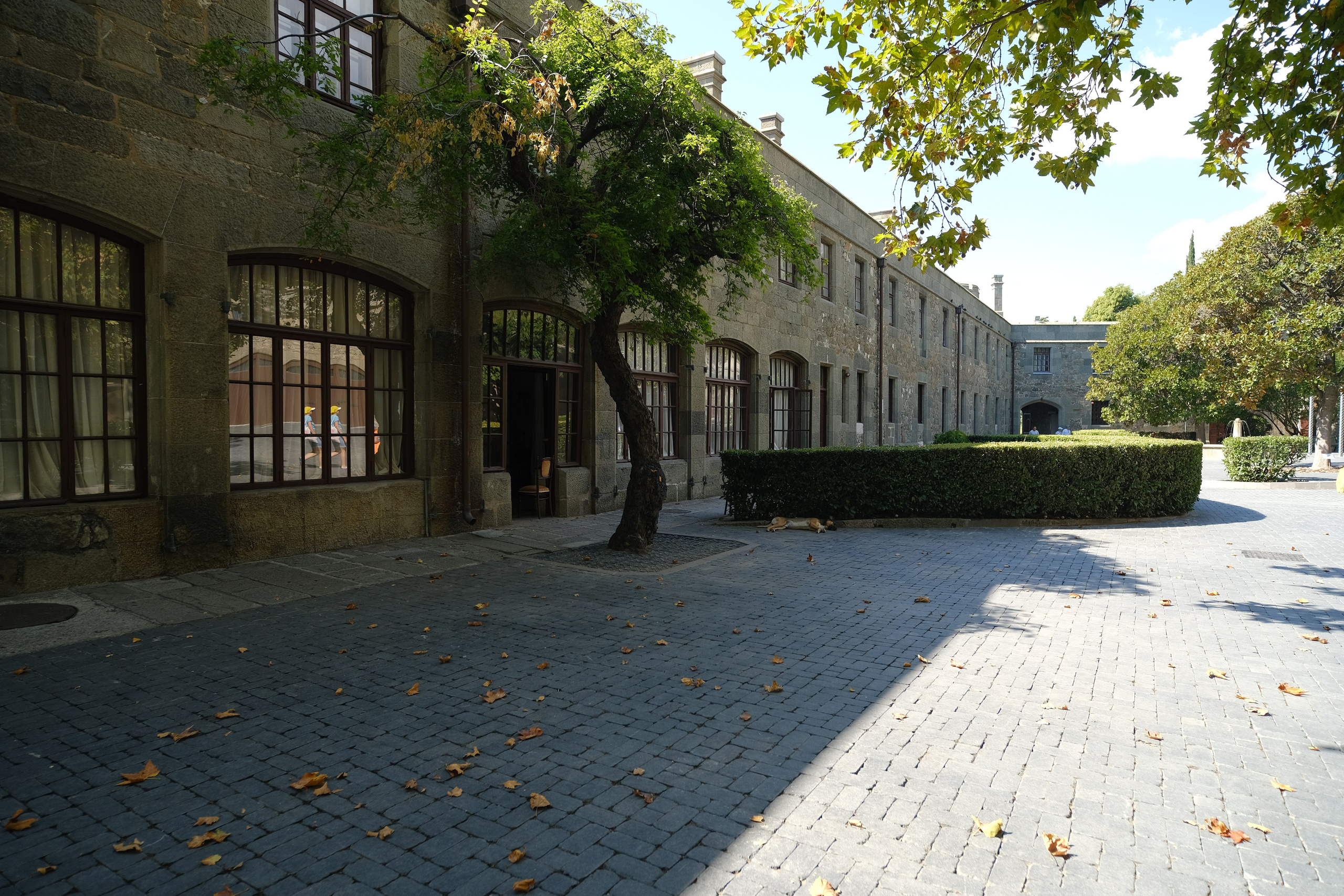 Топ локаций для фотосессии в Крыму - советы от фотографа. Профессиональная фотосъемка в Крыму. Натуральные эмоции и живые кадры. Забронируйте дату прямо сейчас!