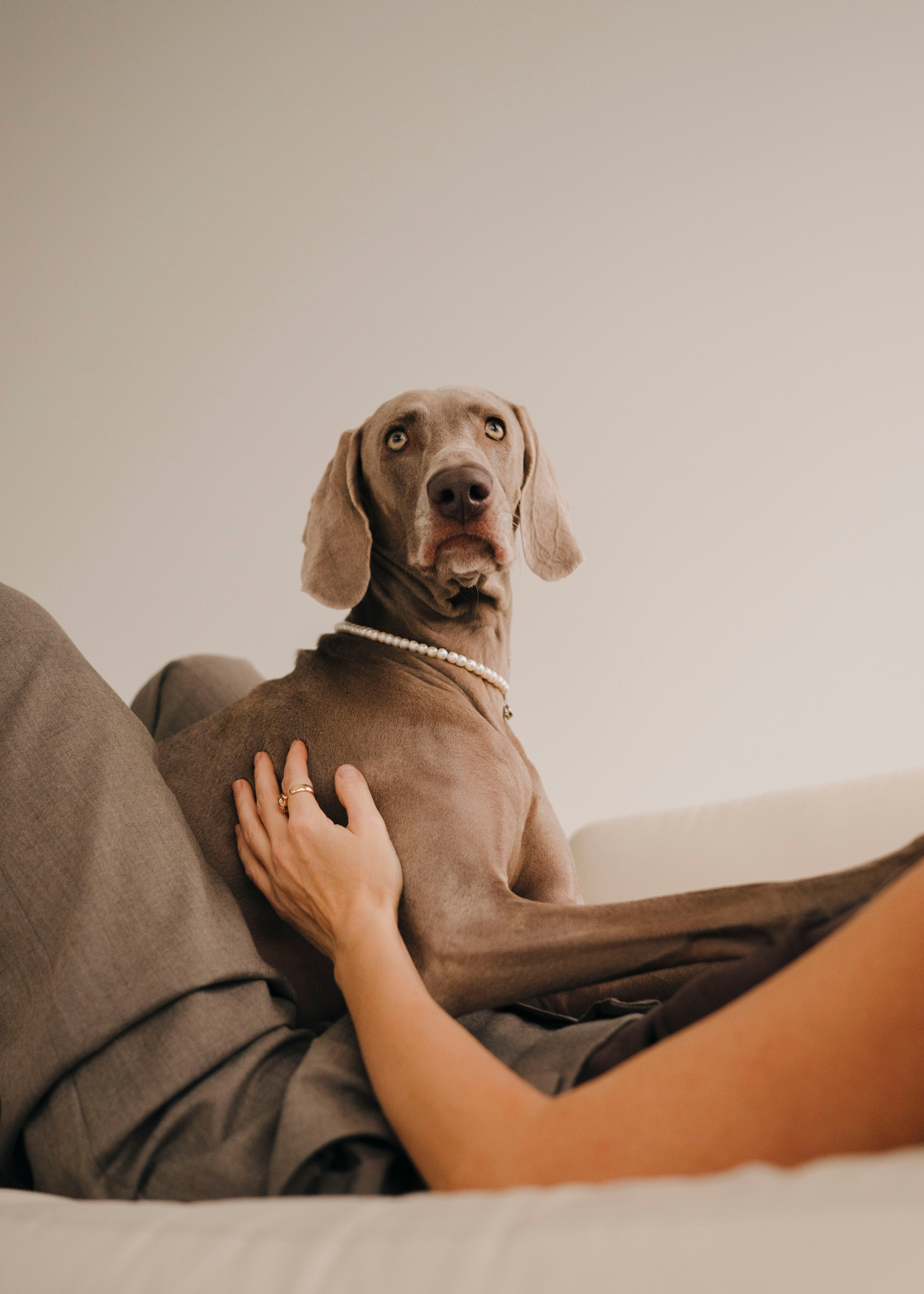 Фани. Фотограф- анималист Александра Матвеева
