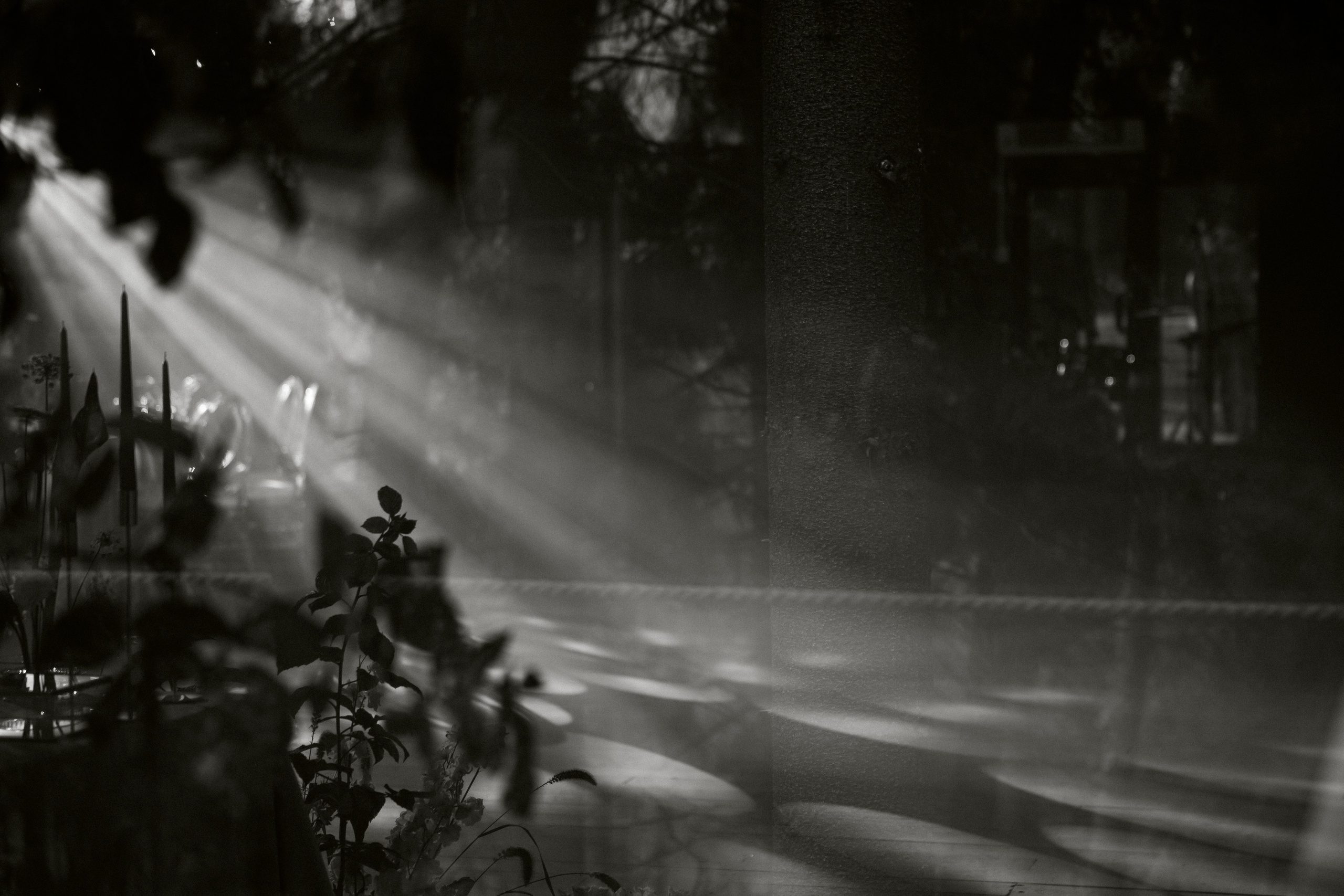 IZUMRUD. Фотограф Наталия Бирюкова