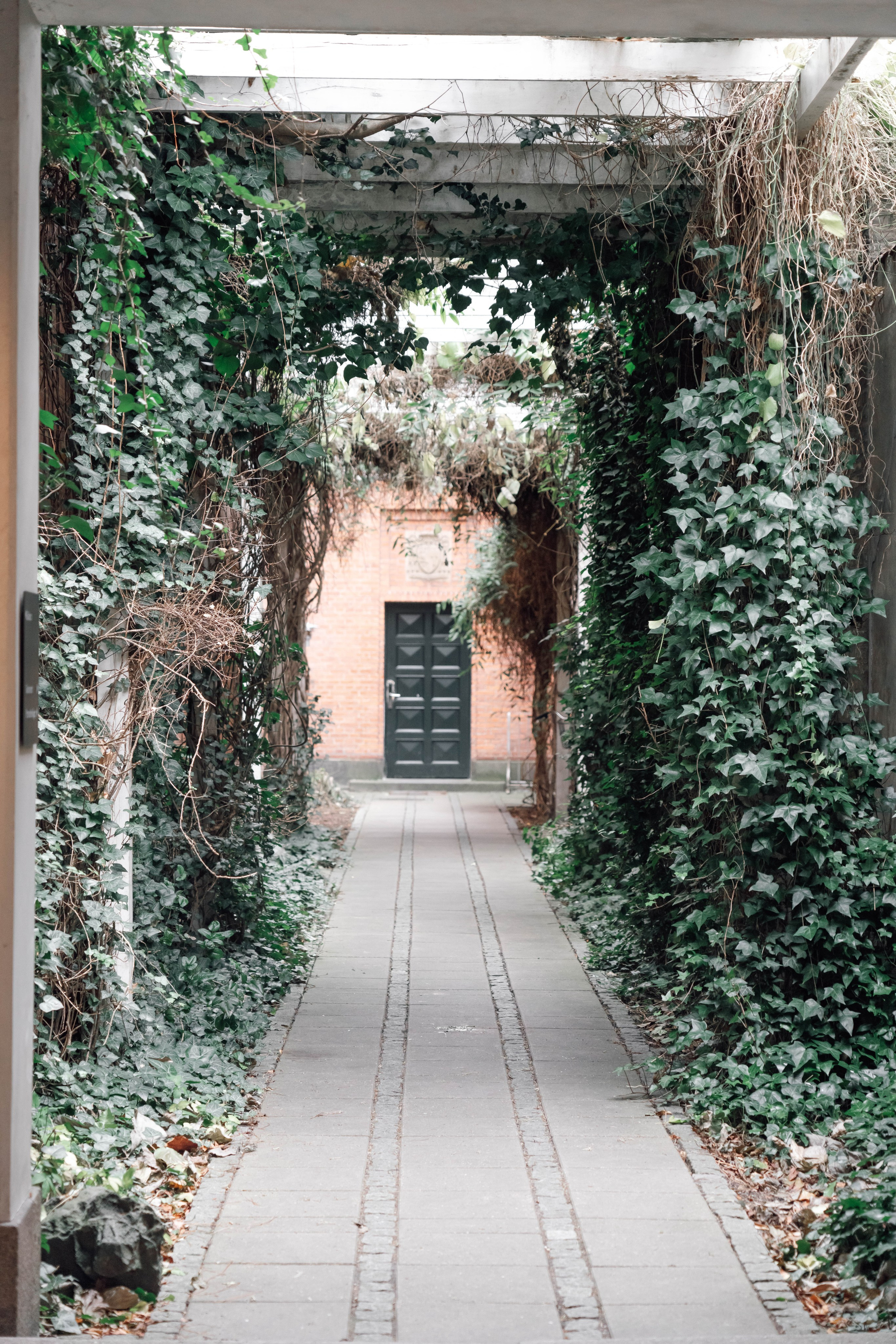 Дания. Фотографирую для себя, своей семьи и друзей!