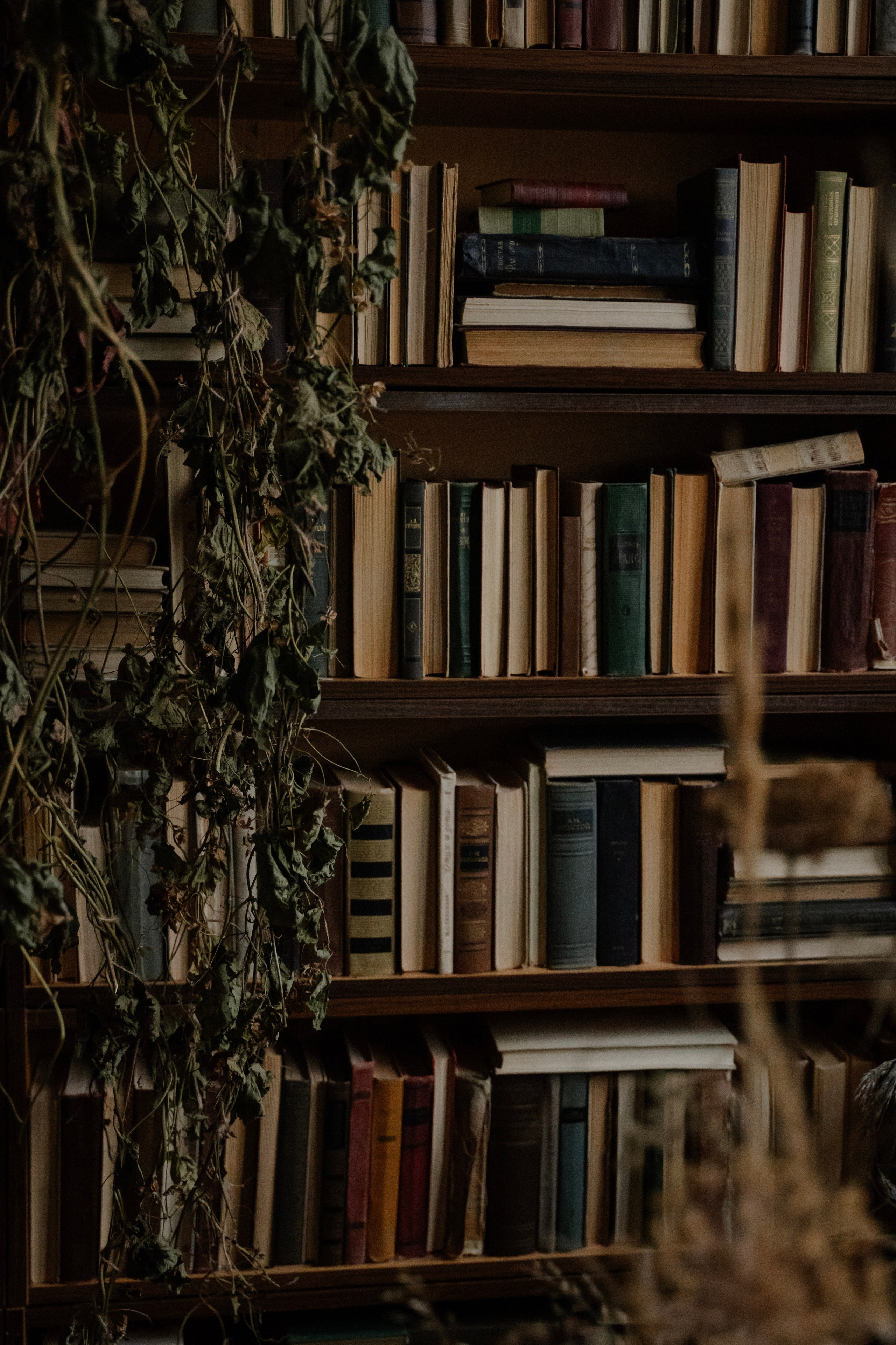 Затопленная комната. Портретный фотограф в Москве