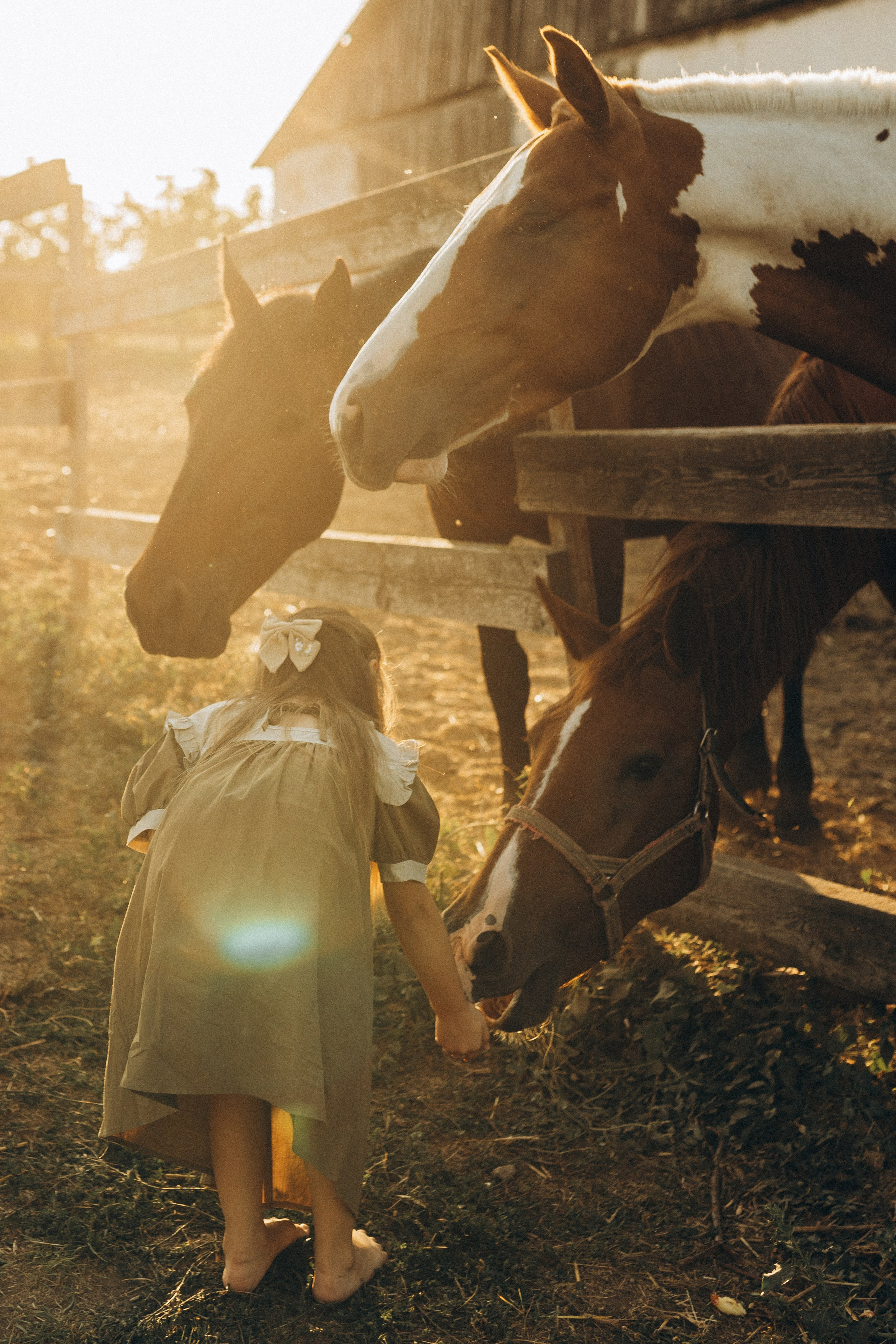На ферме. Семейный фотограф в Новороссийске и Анапе Александра Яковлева