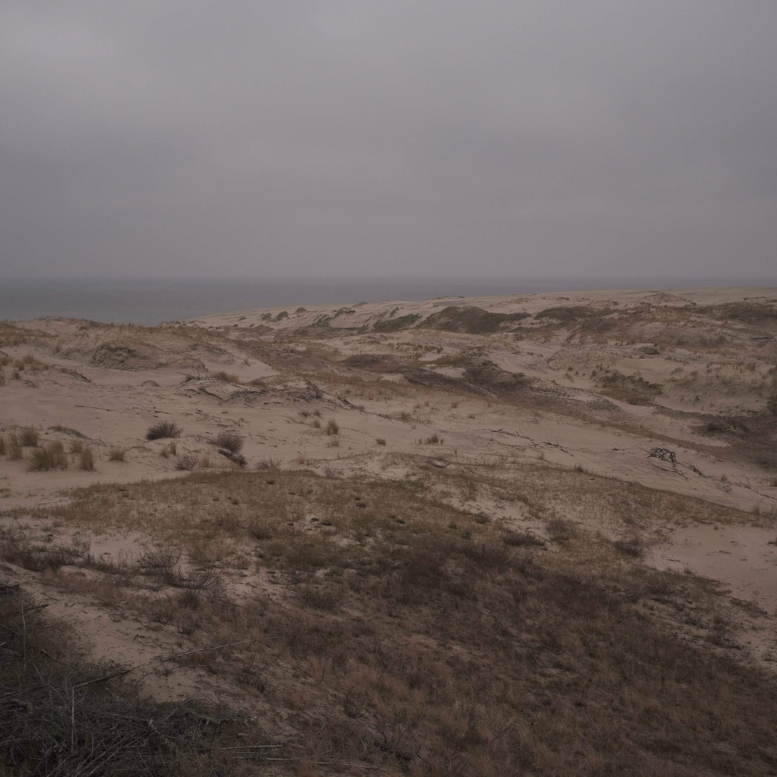 Калининград. LIYALEE PHOTO