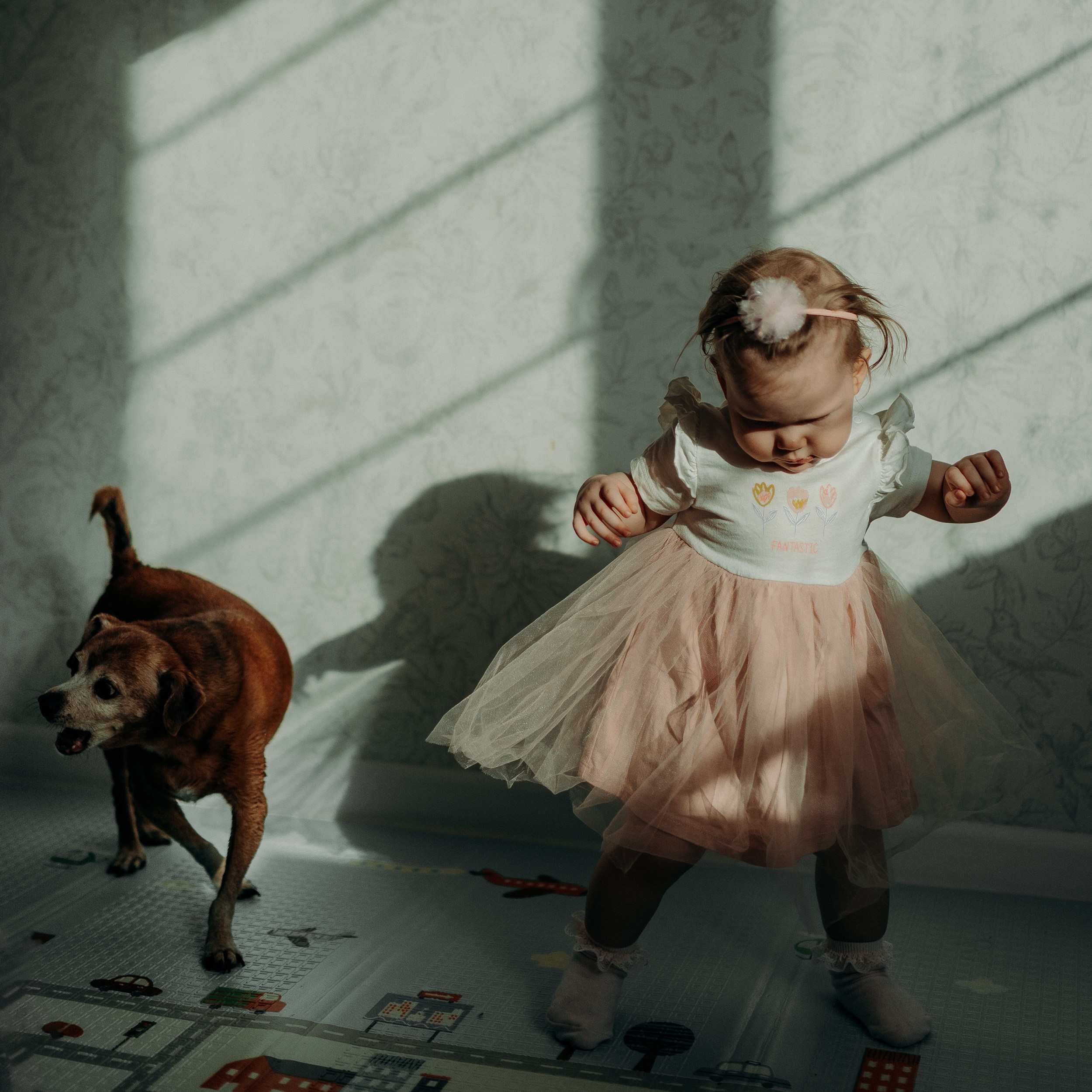 Geweldige familie met kinderen. Fotoverhalen van jou, je gezin en misschien je huisdier