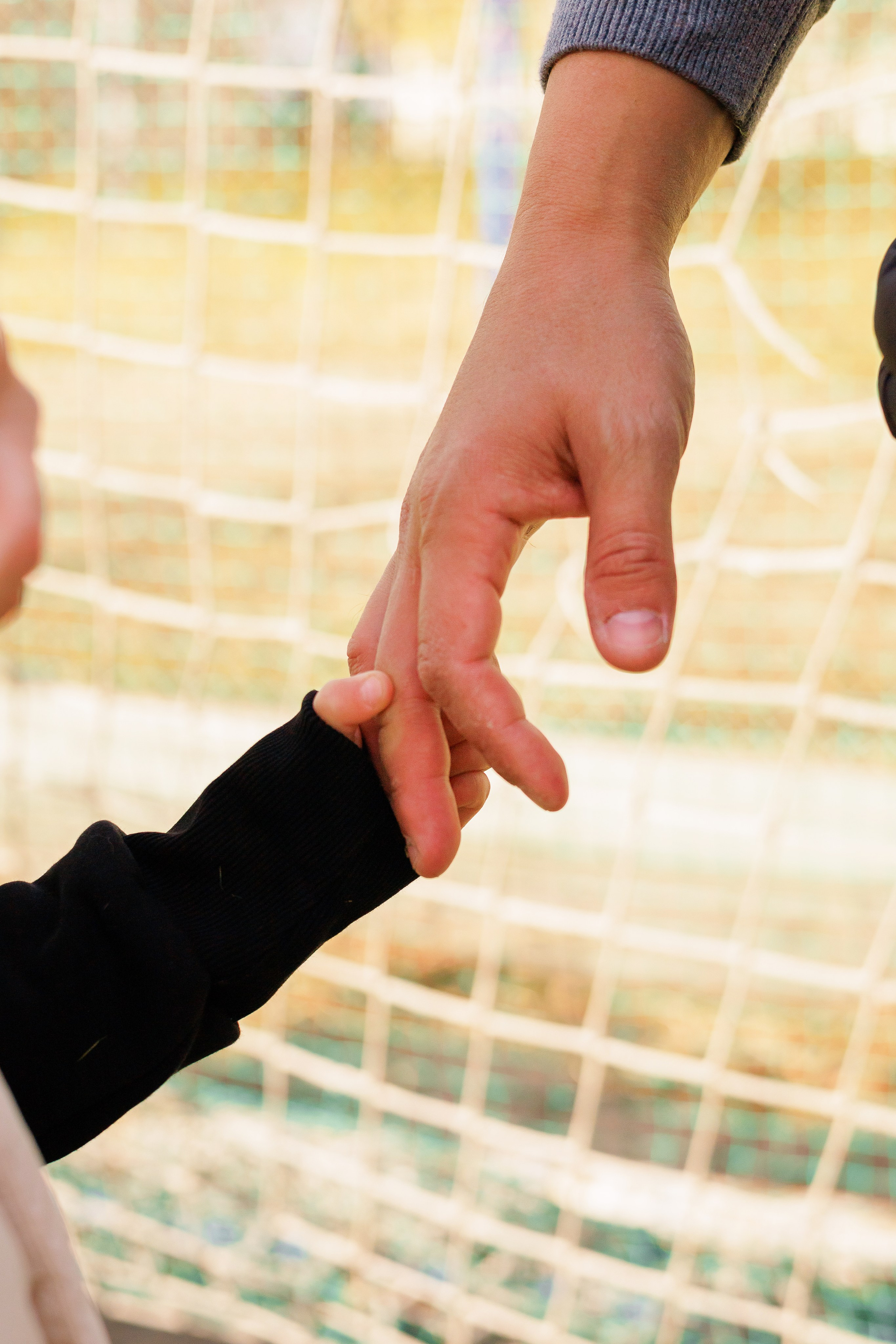 Детский семейный фотограф. Детский и семейный фотограф  Биробиджан Оля Светагор