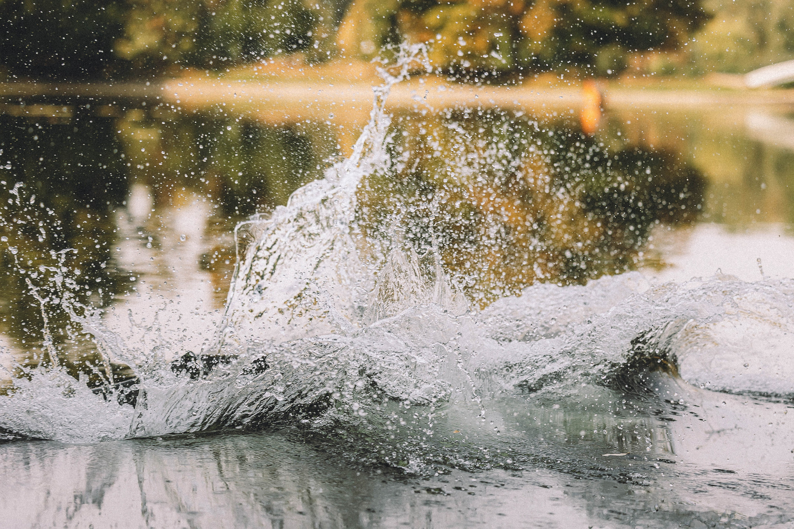 Паша и Хайди