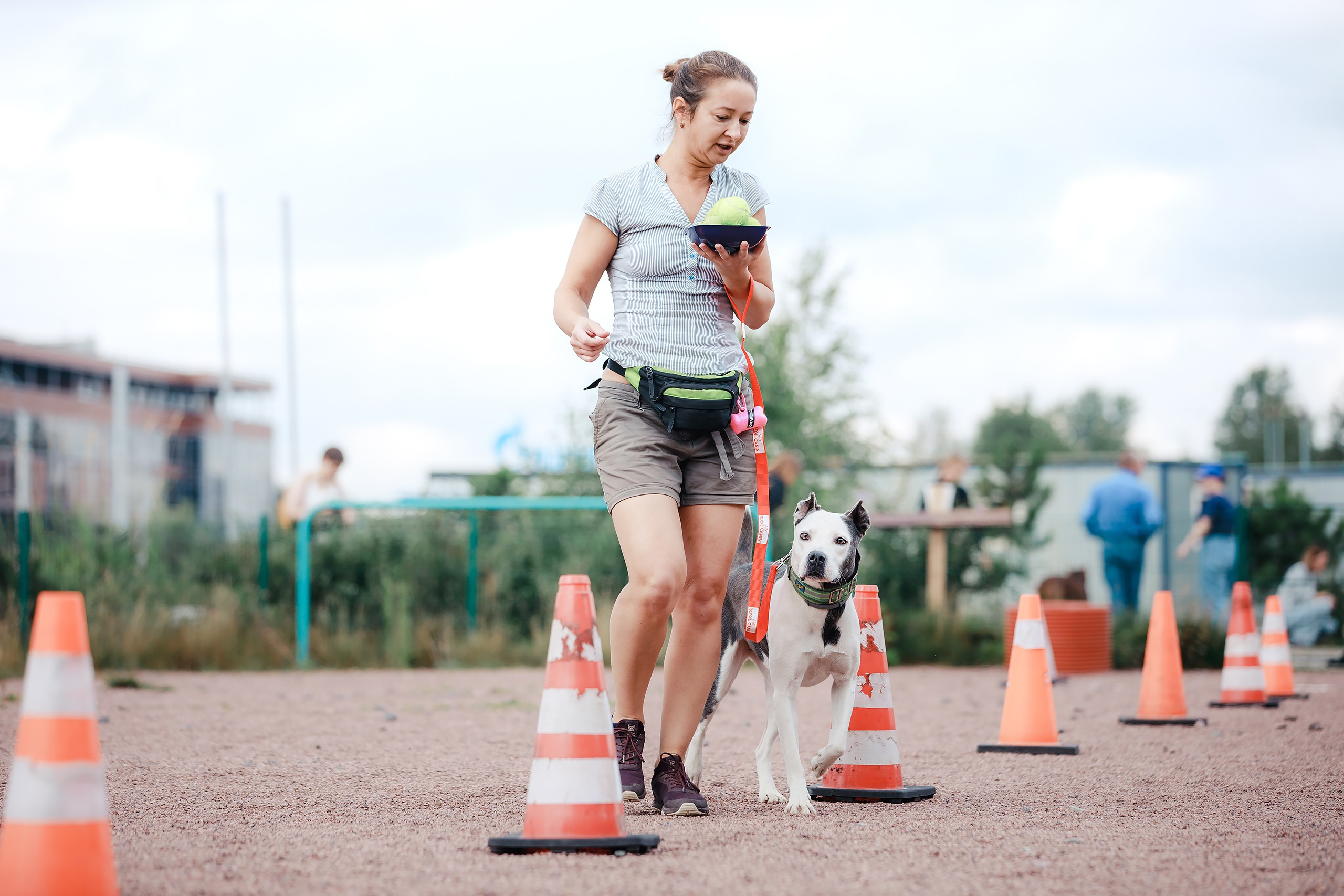 Питч&Гоу + веселые старты. Фотограф-анималист Mary Mart — Москва, Питер
