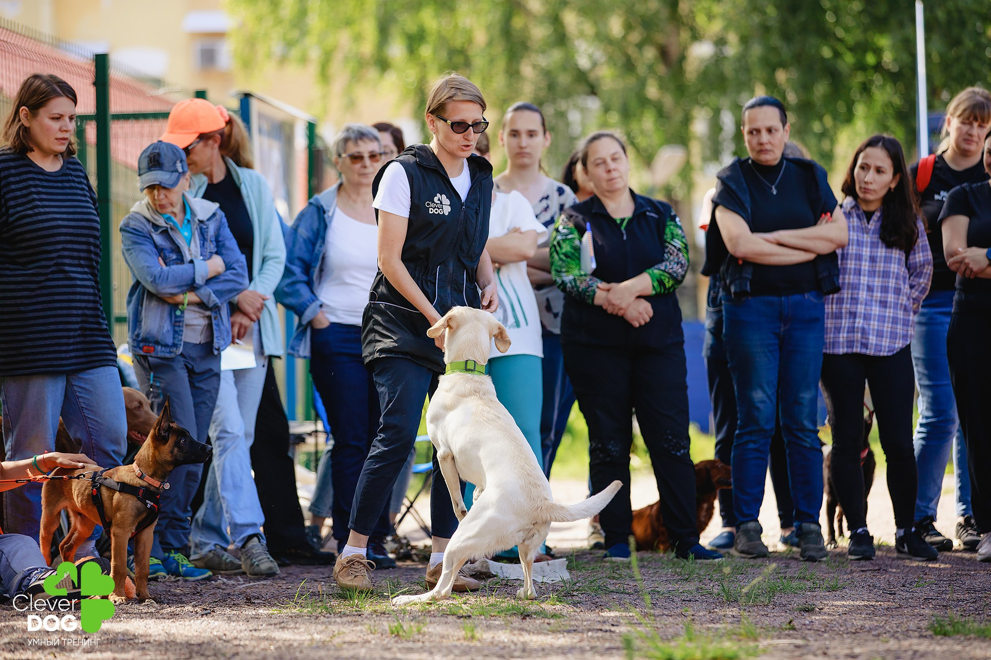 Семинар по поиску запаха с Иваном Ломовым, организатор CleverDog, СПб. Фотограф-анималист Mary Mart — Москва, Питер