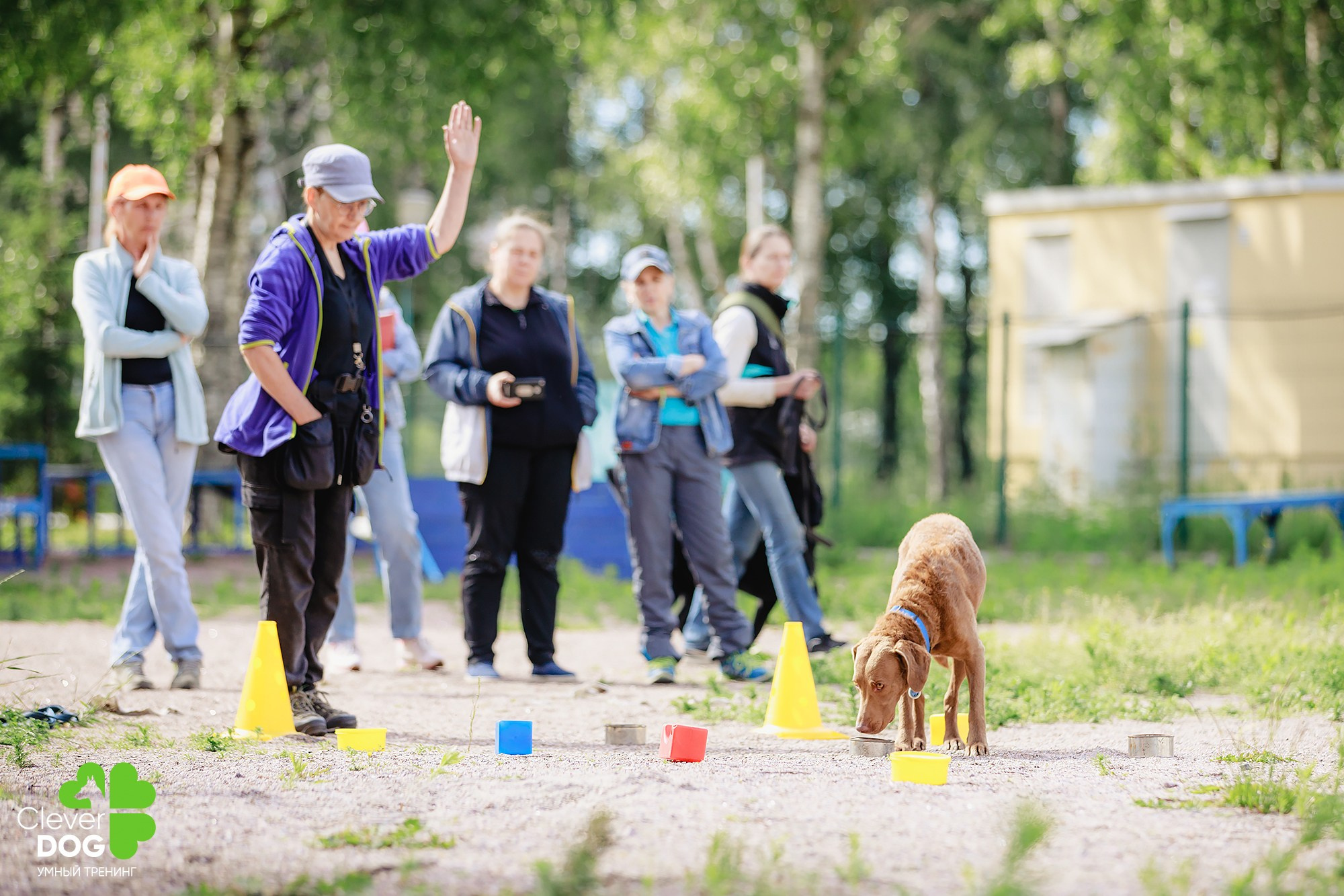 Семинар по поиску запаха с Иваном Ломовым, организатор CleverDog, СПб. Фотограф-анималист Mary Mart — Москва, Питер