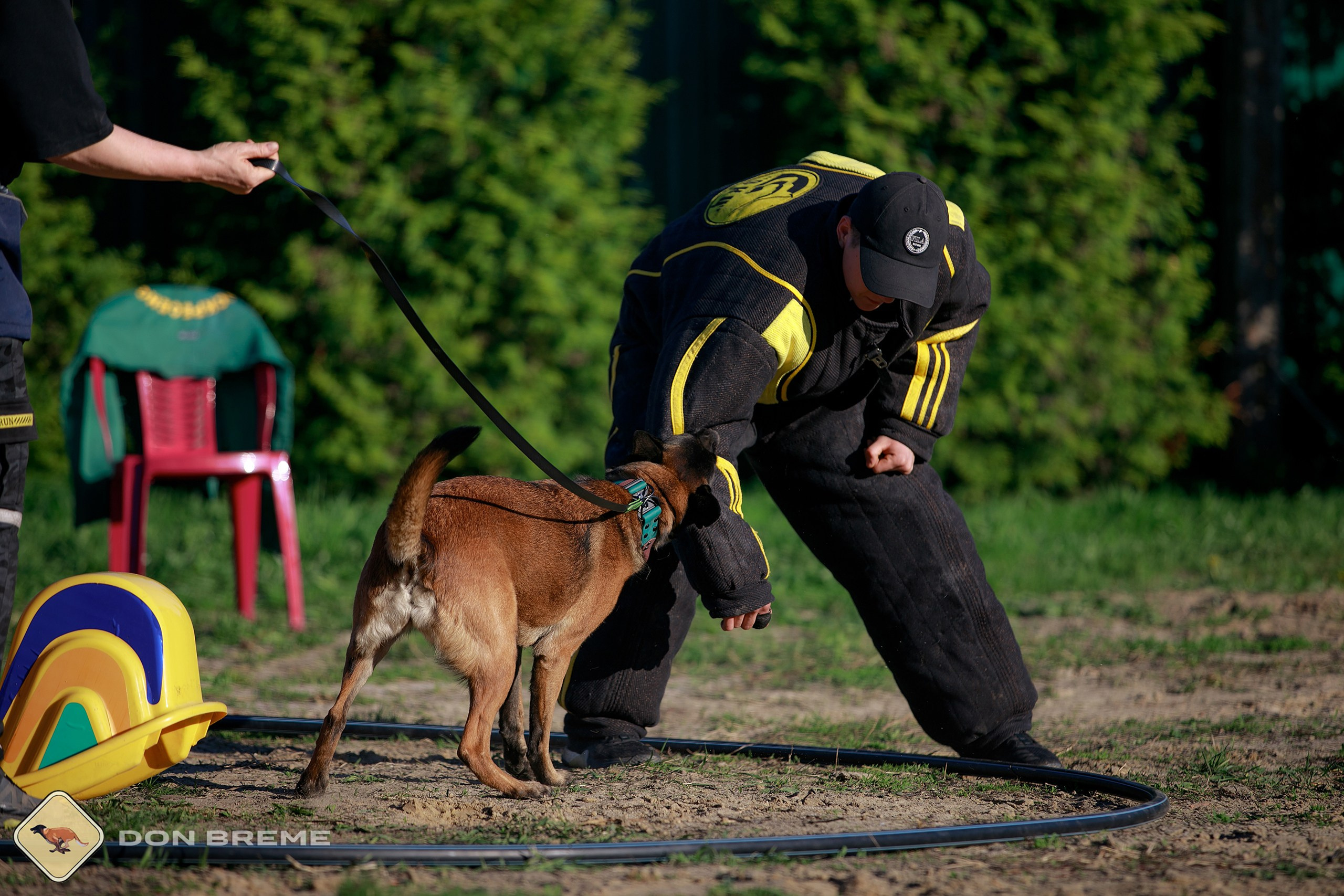 Семинар для фигурантов, день 3. Фотограф-анималист Mary Mart — Москва, Питер