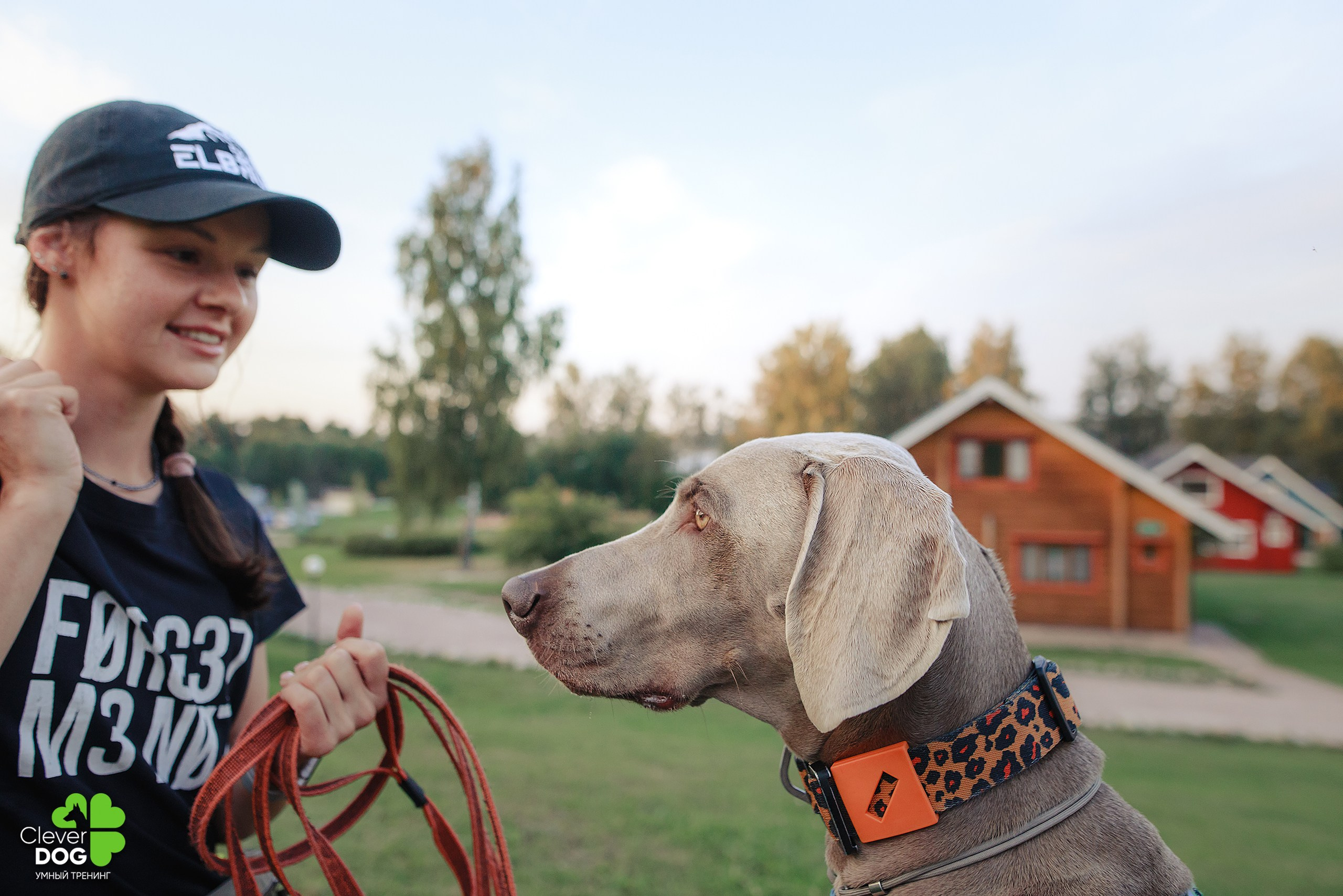 Кинологический лагерь CleverDog, 2024. Фотограф-анималист Mary Mart — Москва, Питер