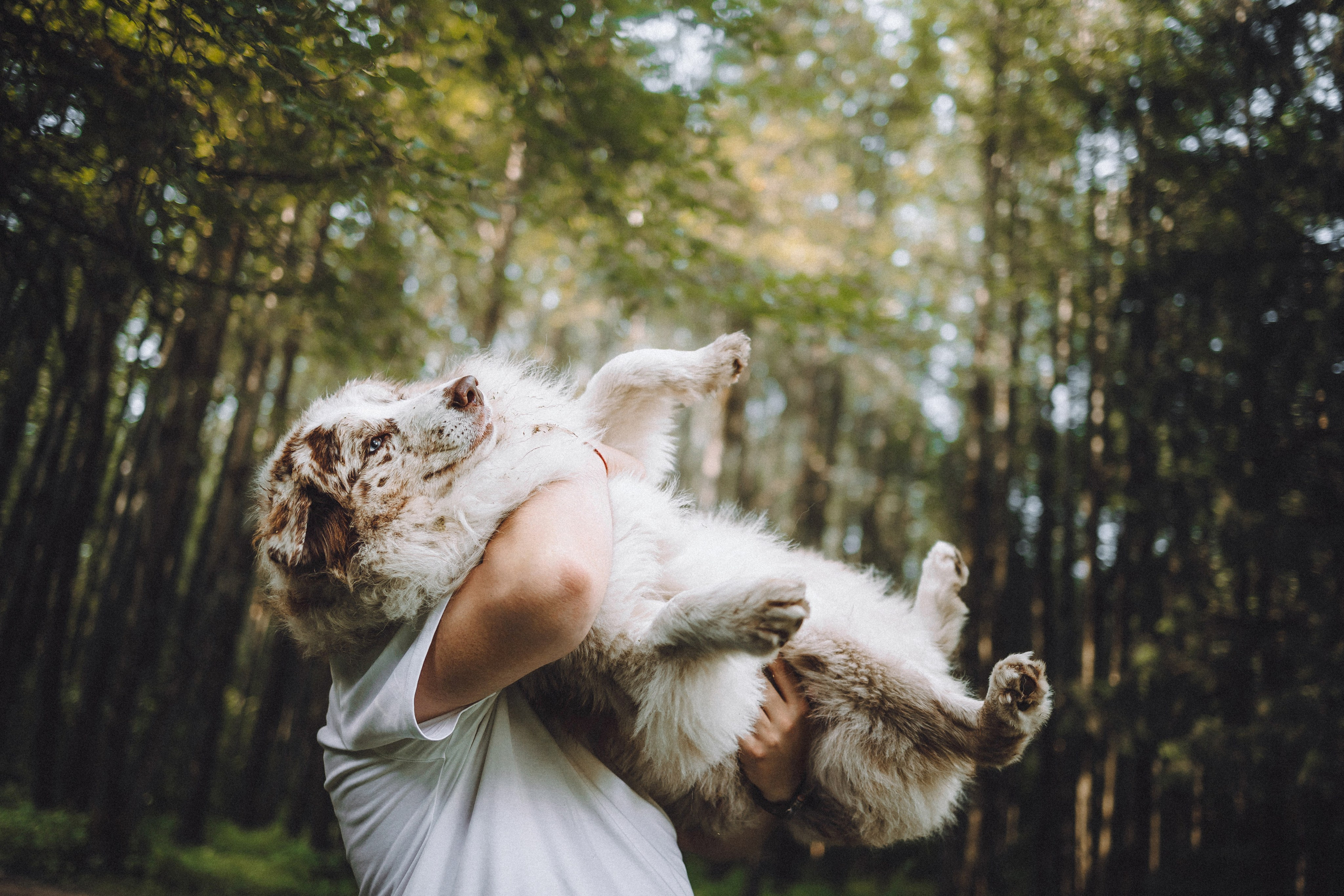 Катя, Андрей, Гектор, Ричи, Тортик и Трой