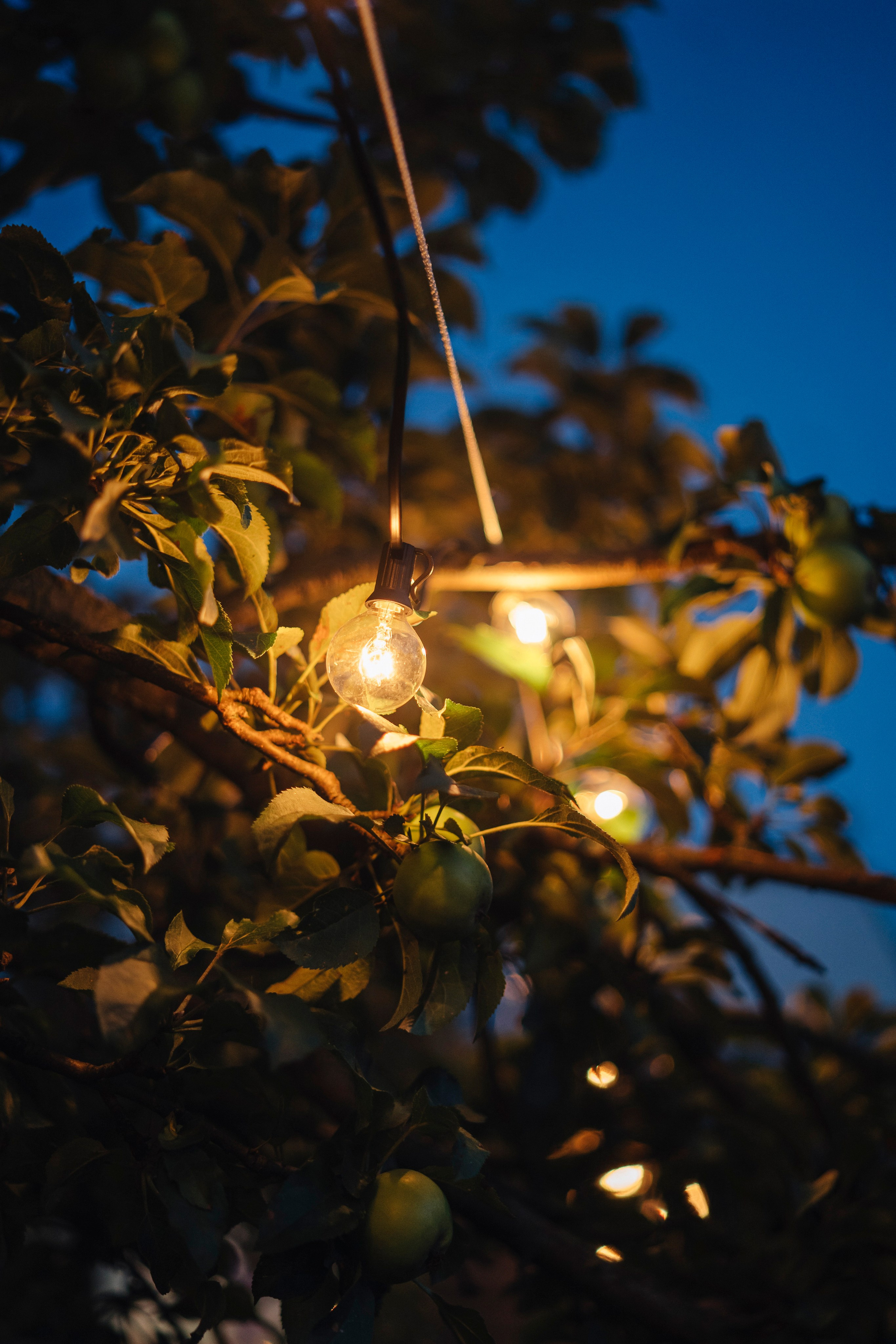 Нелли и Александр. Фотограф в Москве Людмила Денисенко