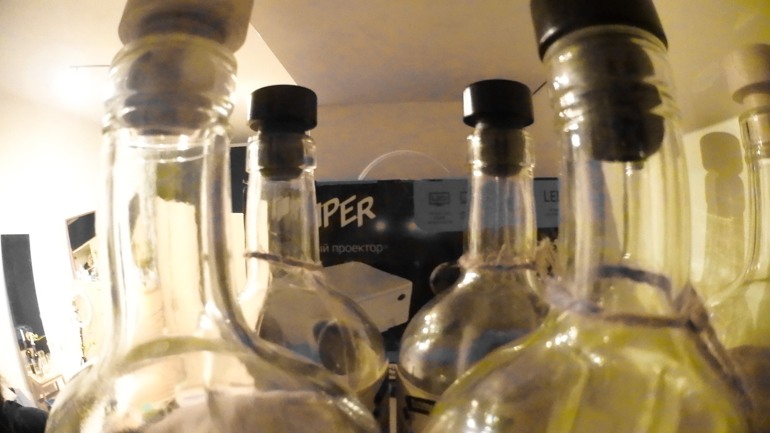 Гости. Fedor Kalinin