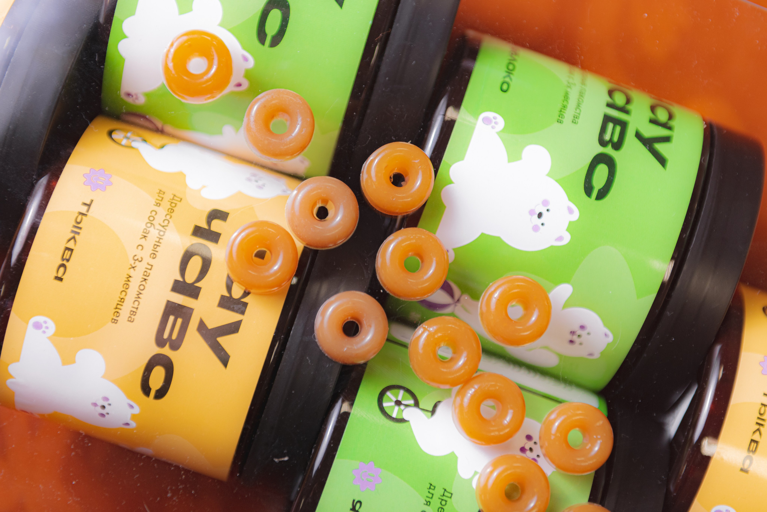 Чау Чавс. Фотограф в Москве Daria Lens