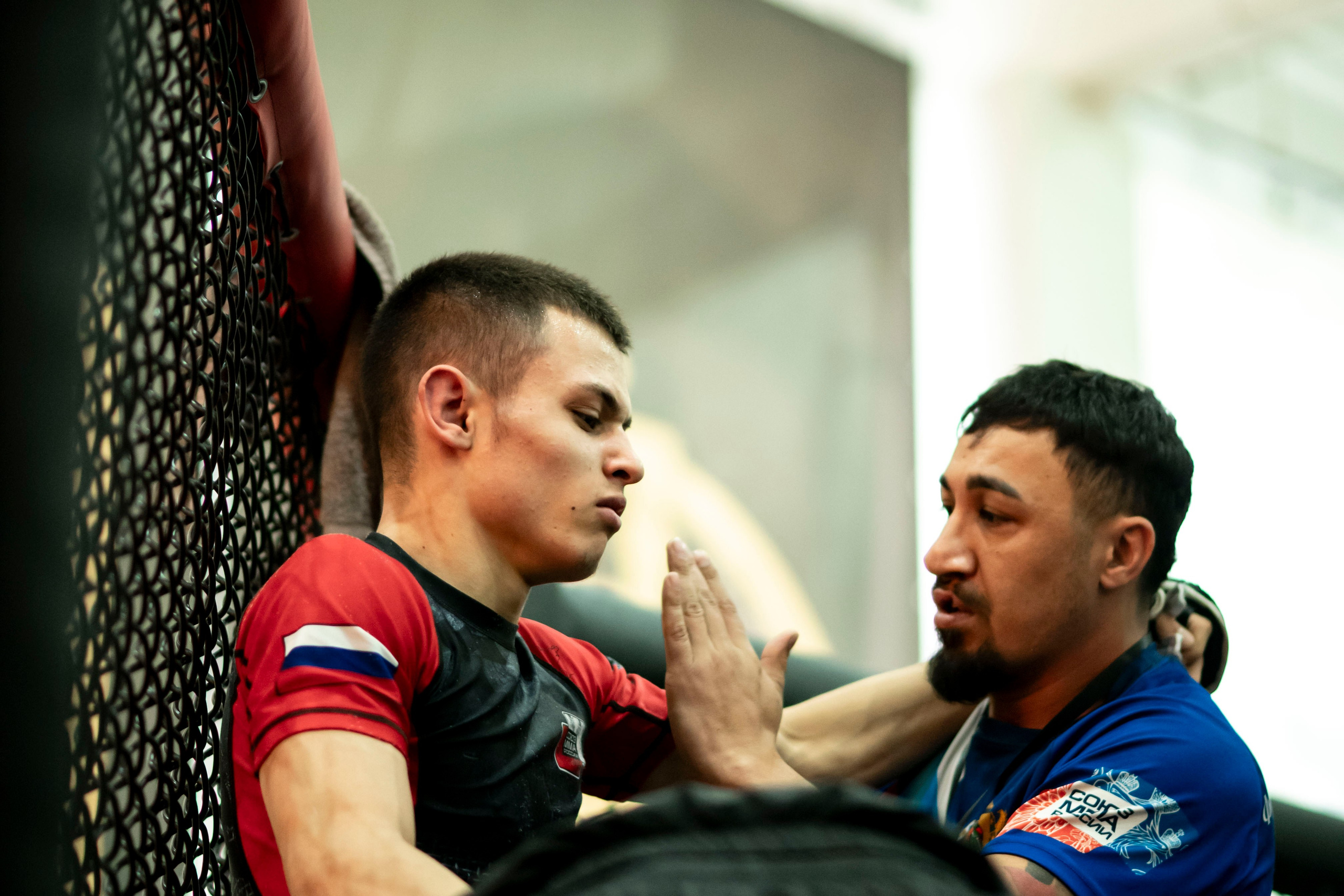 Всероссийский турнир ММА. Новомосковск, ноябрь 2025. Спортивный фотограф в Туле и Тульской области. Файсханова Фото Спорт