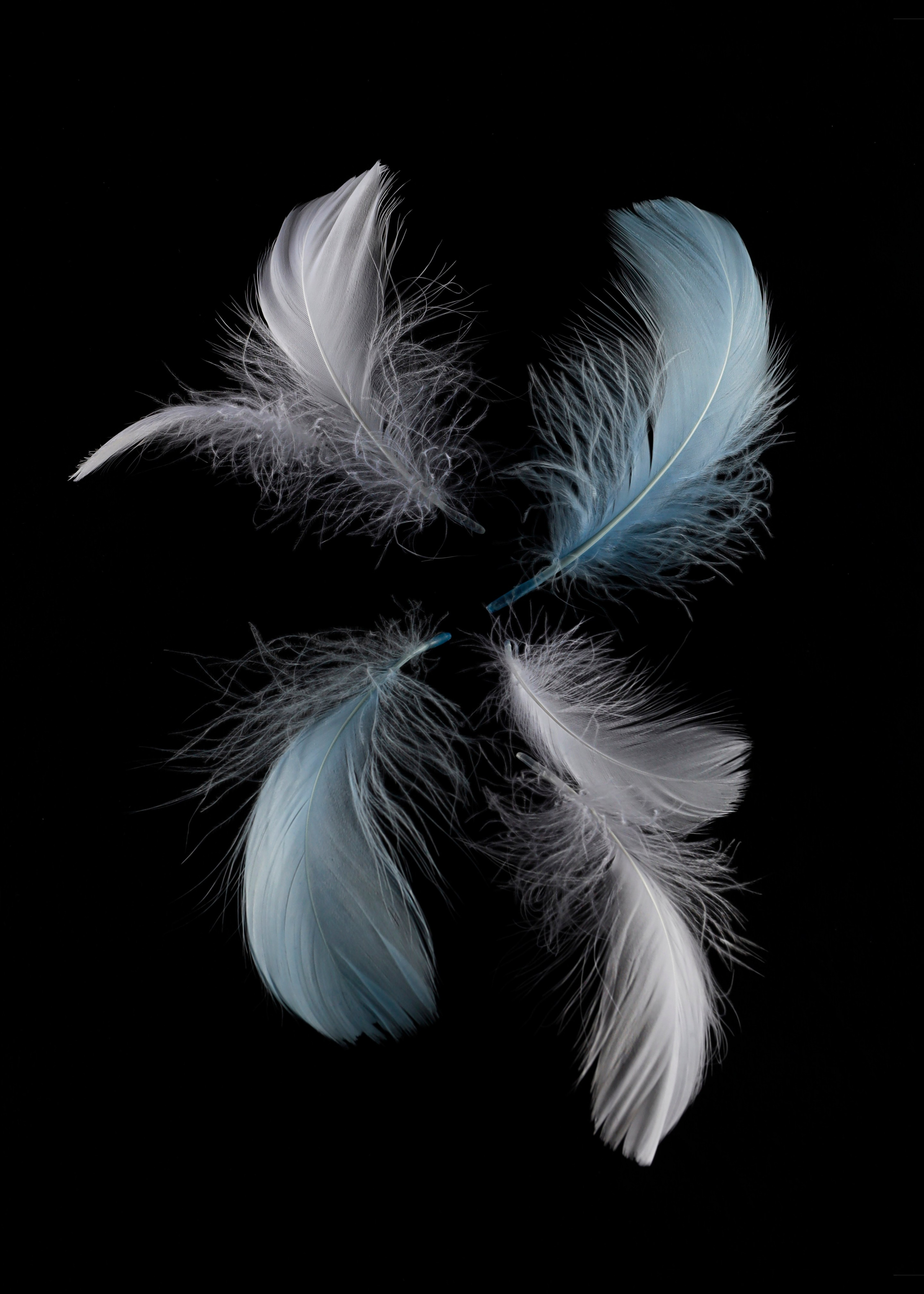 Предметная съемка. Фотограф Светлана Заплатина