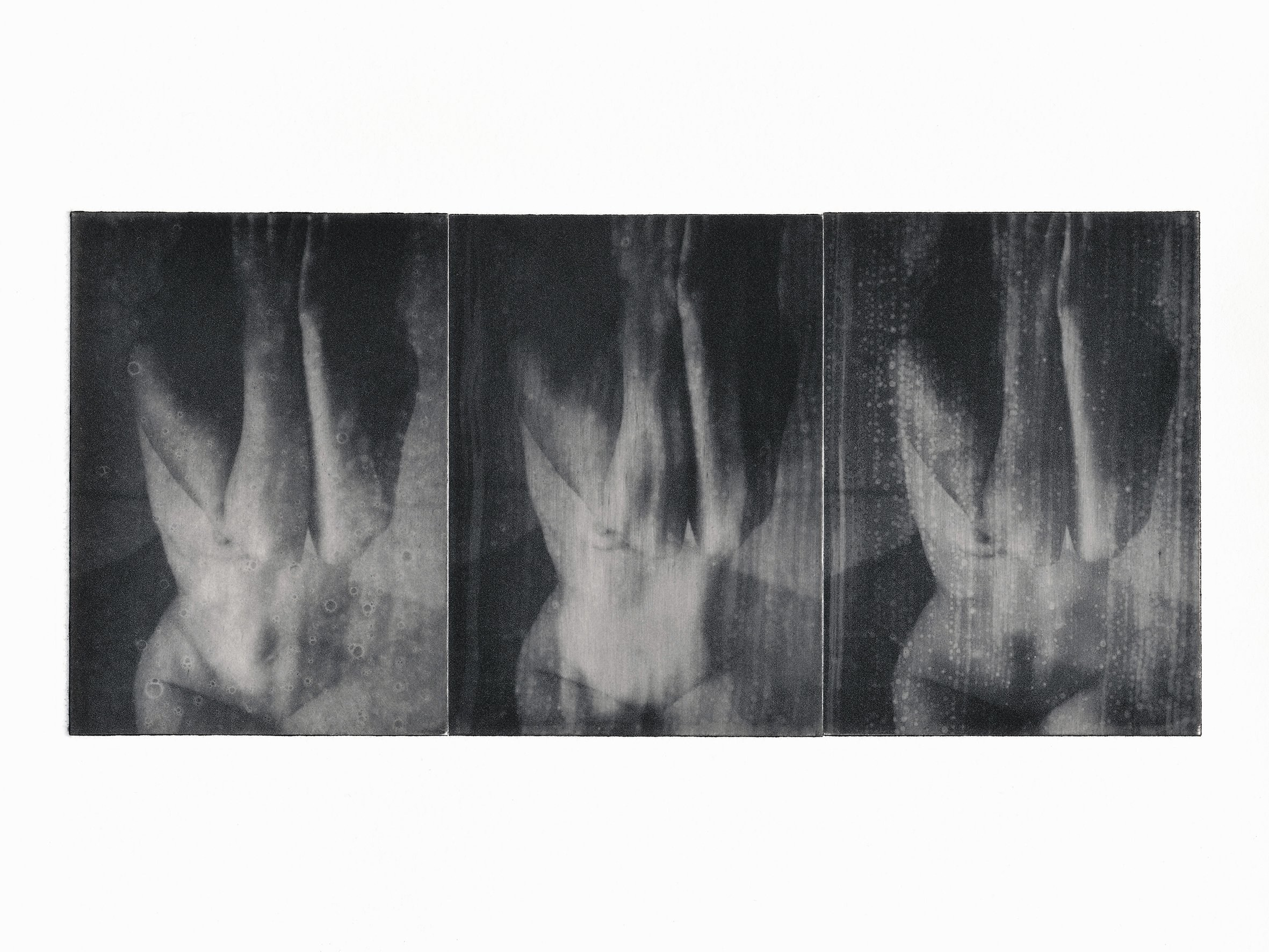 Проект «Black Cloud» Джули ван дер Ваарт. Private image