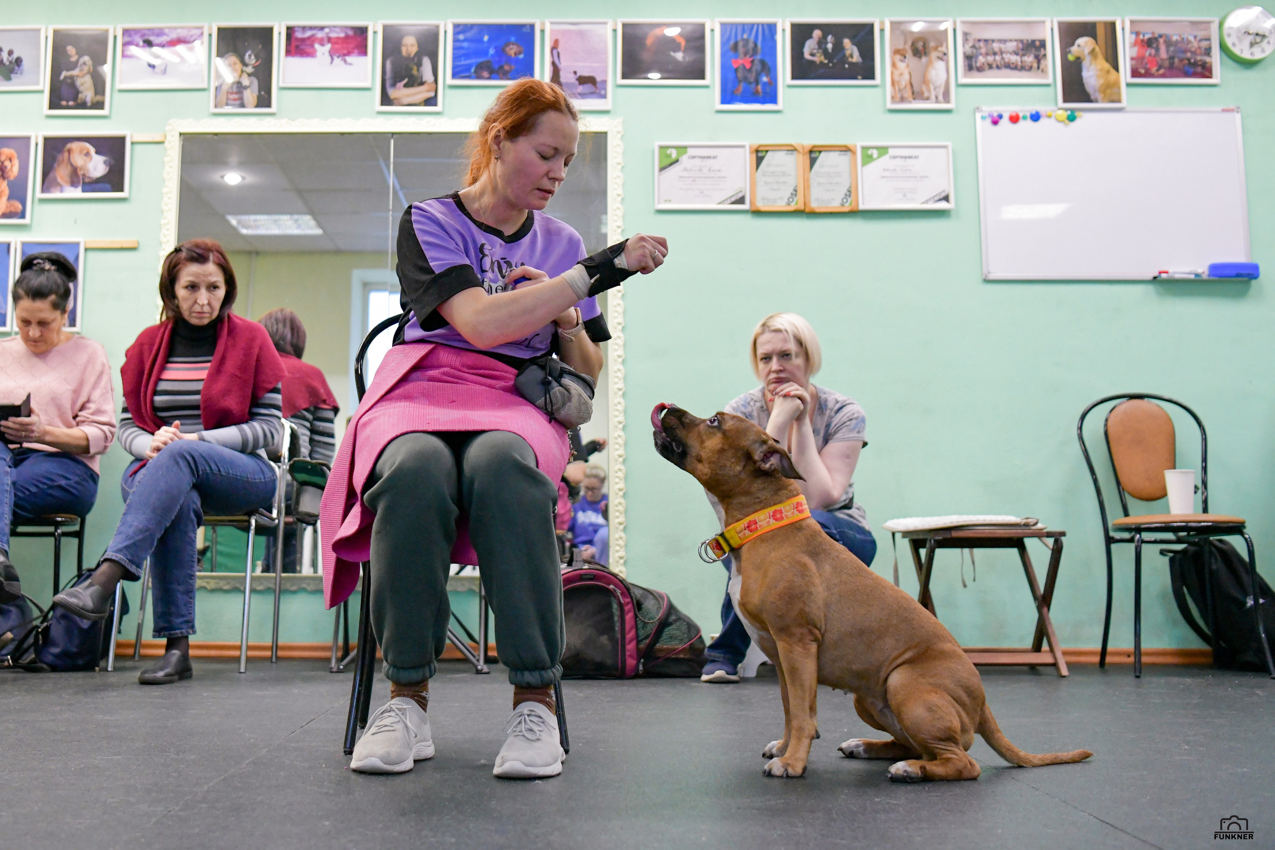 Кинологический клуб «Бодрый хвост». Свой взгляд через объектив