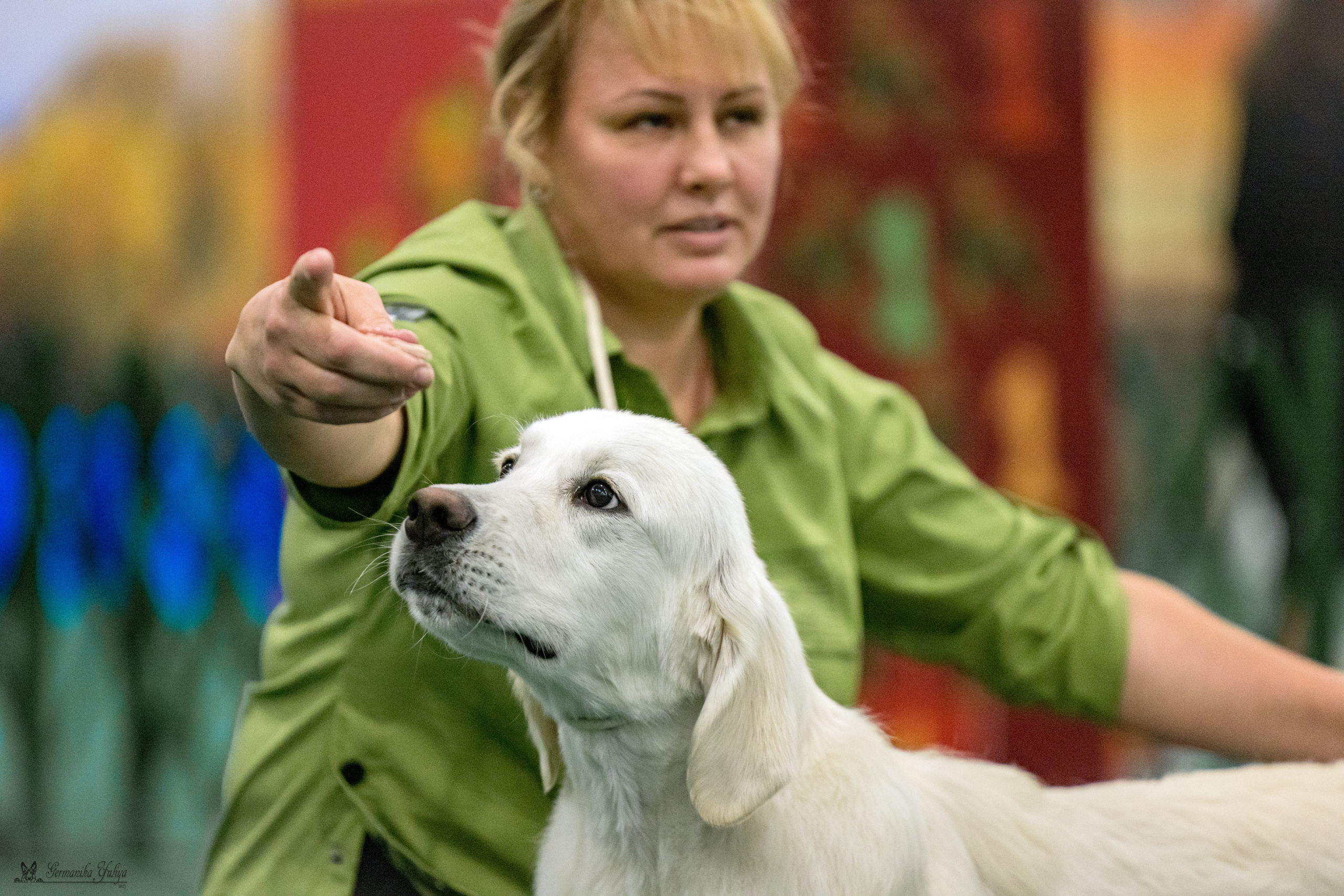 Сфера 29.10,Крокус 4.11,Сфера 12.11.2023. Фотограф-анималист Юлия Германика