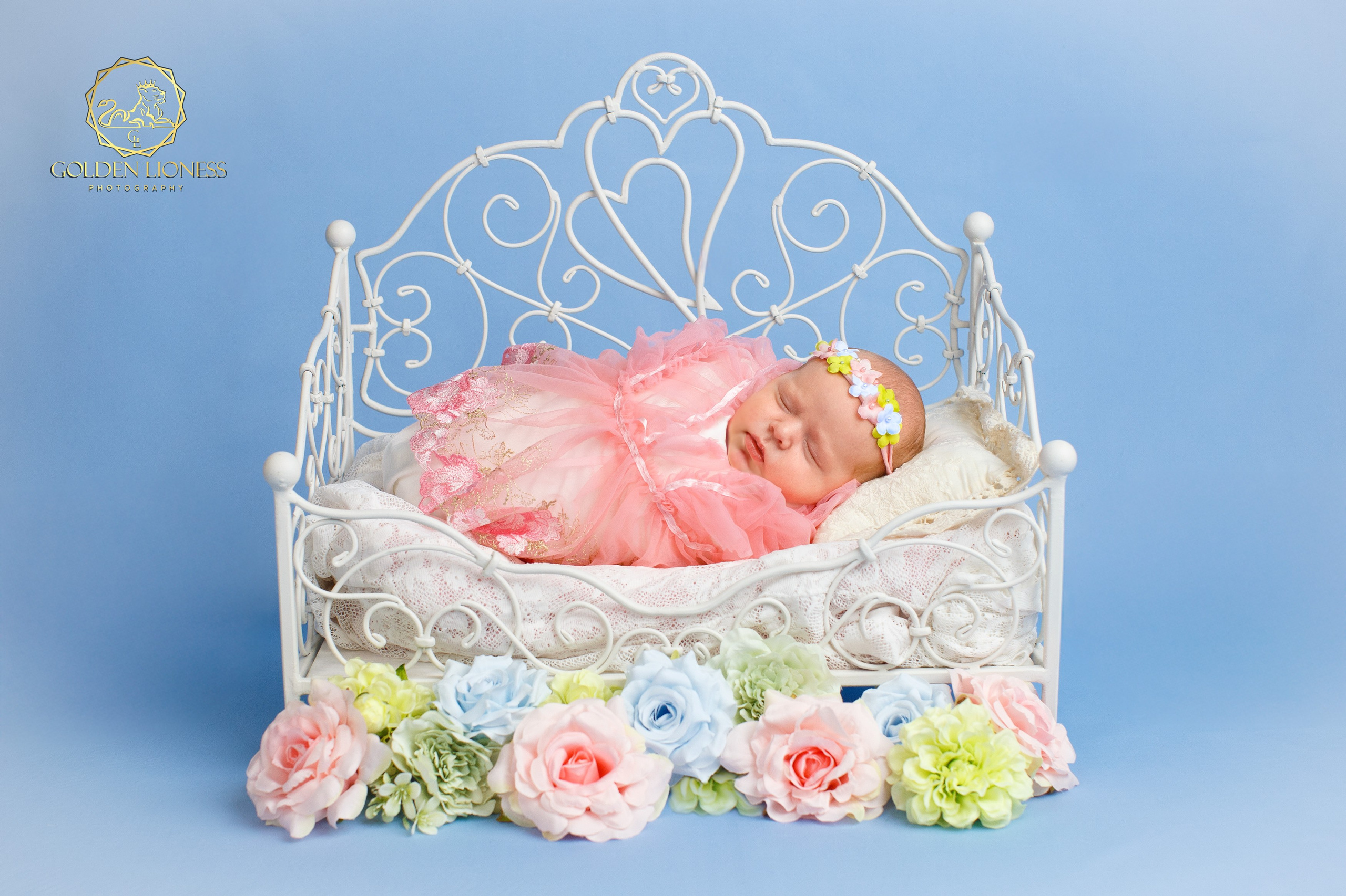 Галерея. GoldenLioness | Фотосессия новорожденных детей (newborn) Москва