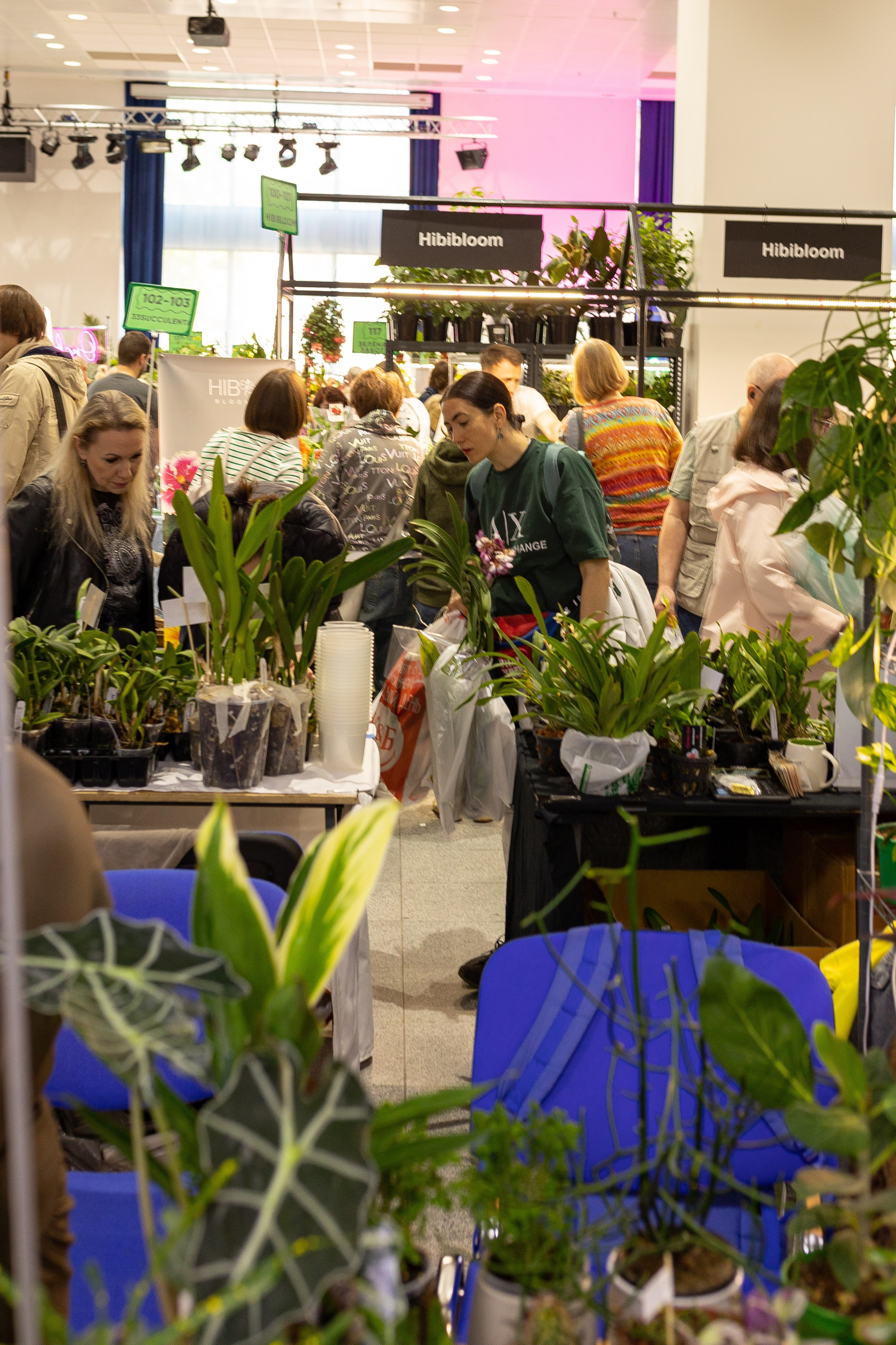 Орхидиум июнь 2024. Александра Куликова фотограф, Москва