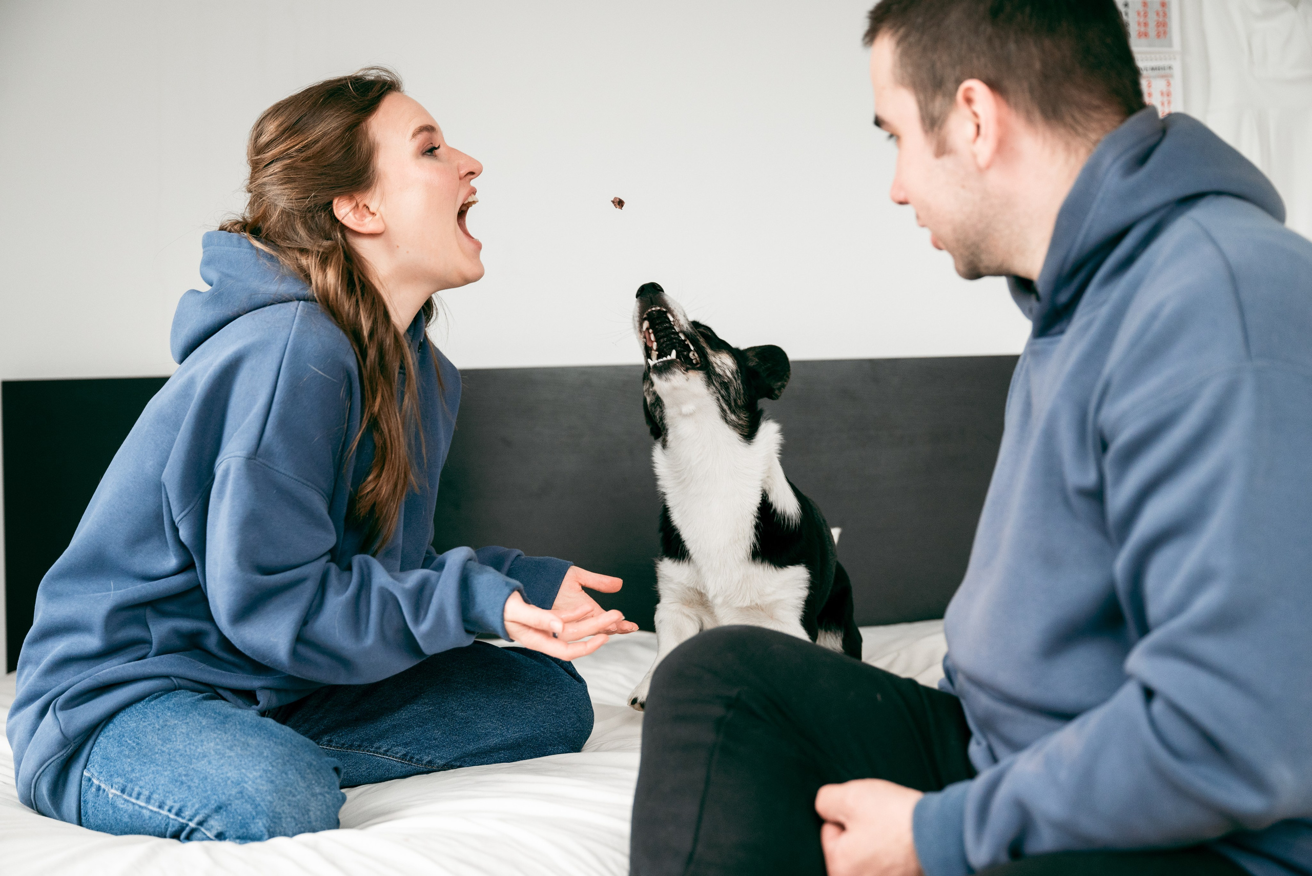 Майя и Илья. Фотограф Дарья Сафонова Dashulkacss