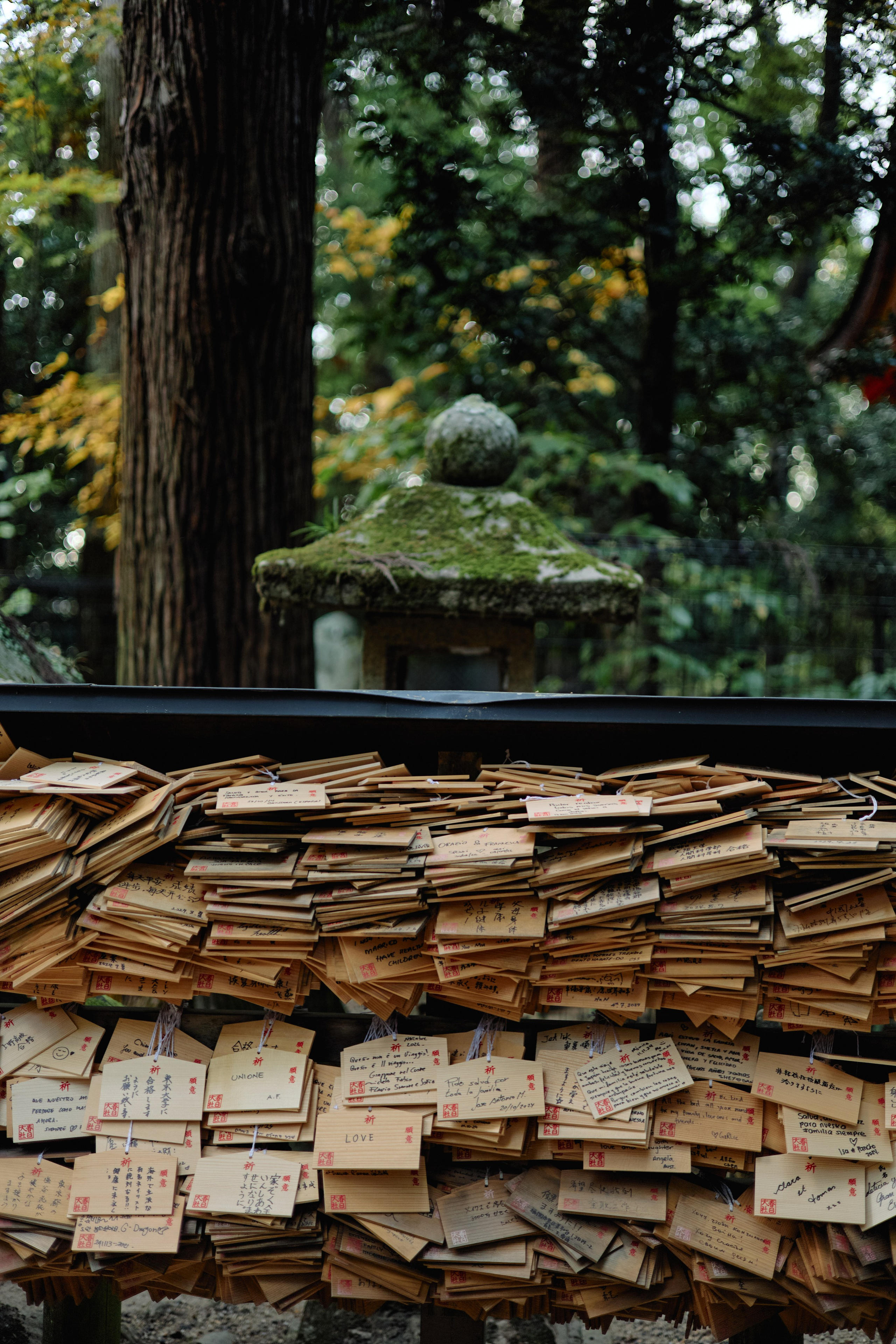 Япония. Профессиональный Фотограф во Владимире, в Москве и в Суздале — Полина Романычева