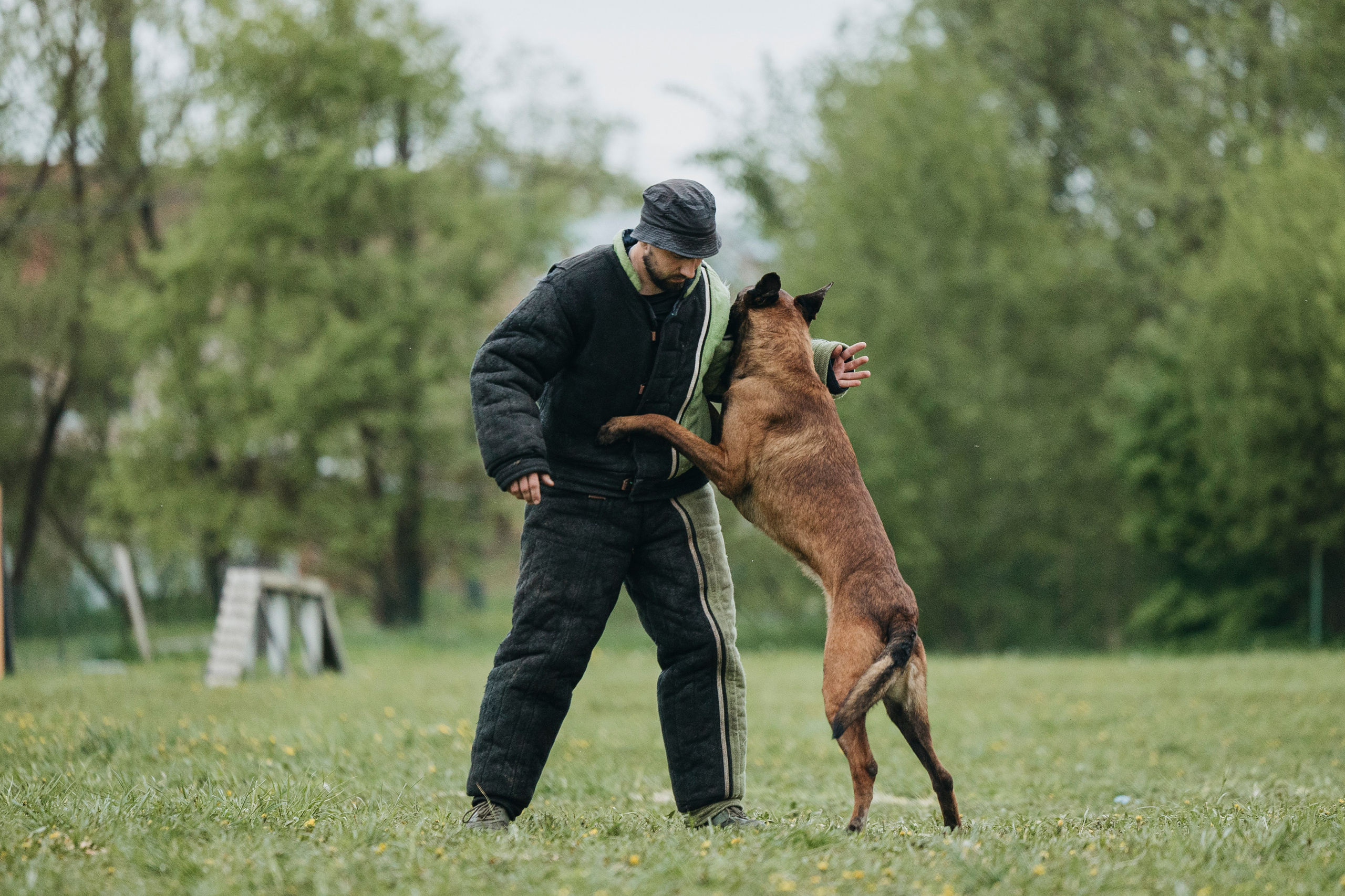 26.05.25 г. Пушкин квалификационные соревнования. Фотограф-анималист Анна Маринич