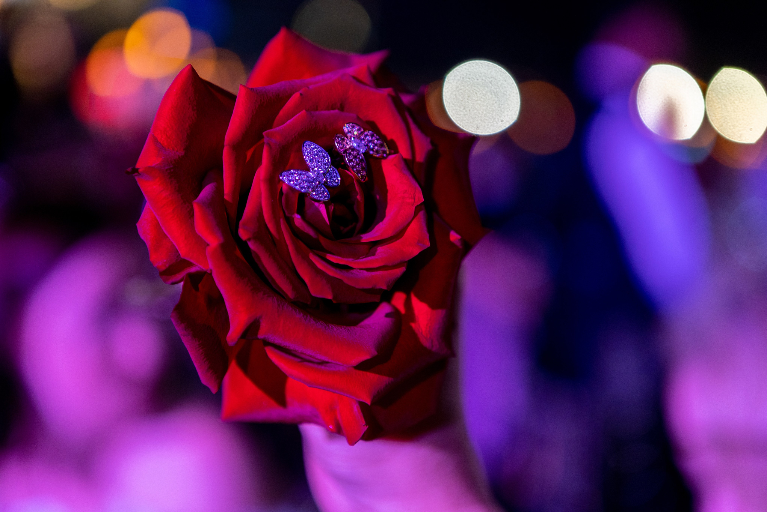 Роза и бриллиантовое кольцо