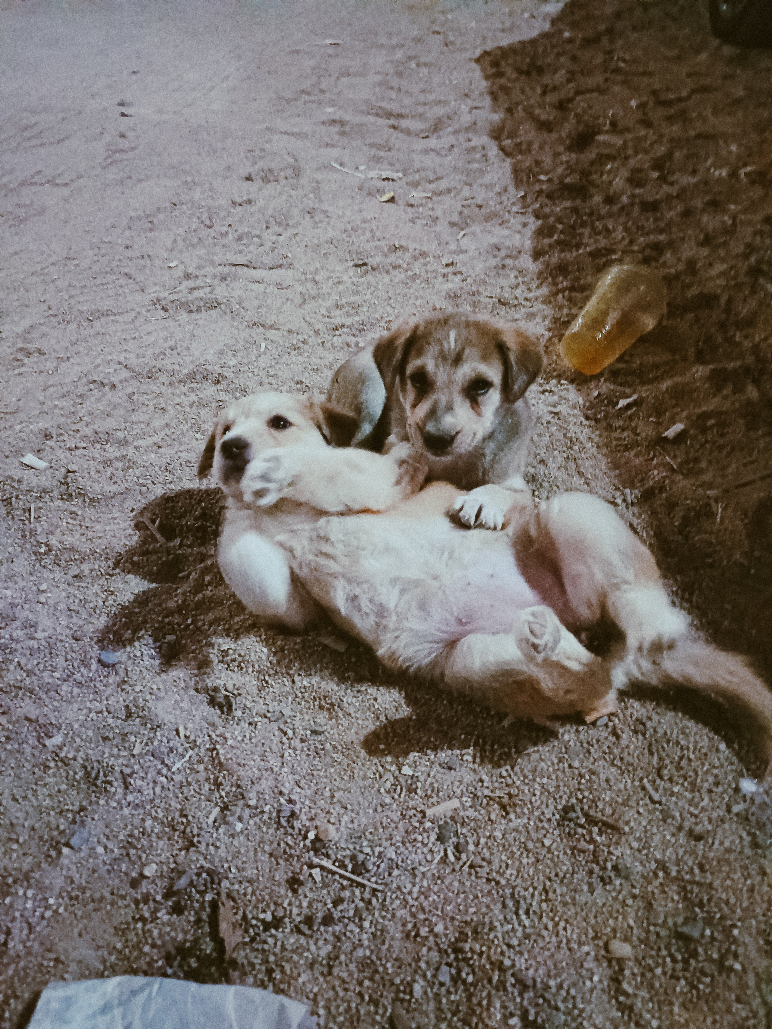 Мобильная. Jorgis — фотограф в Хургаде / обучение фотографии